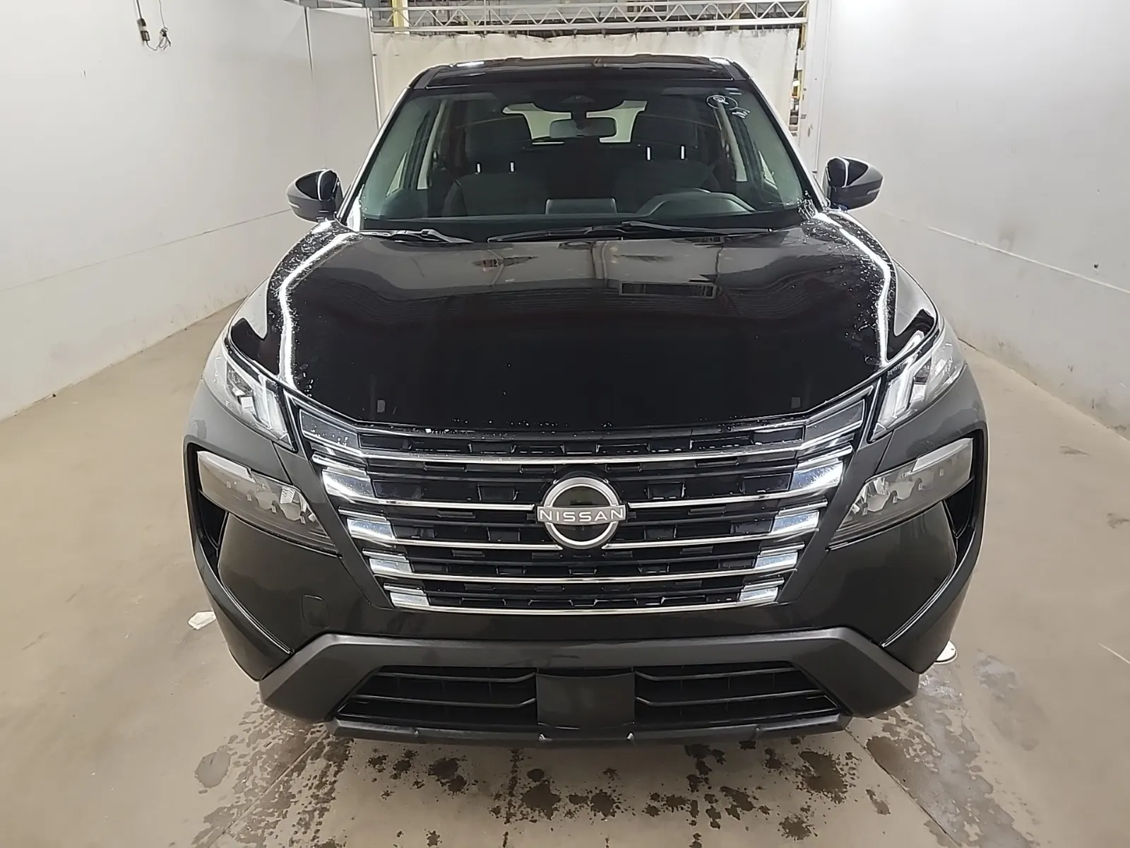 Full Front Photo