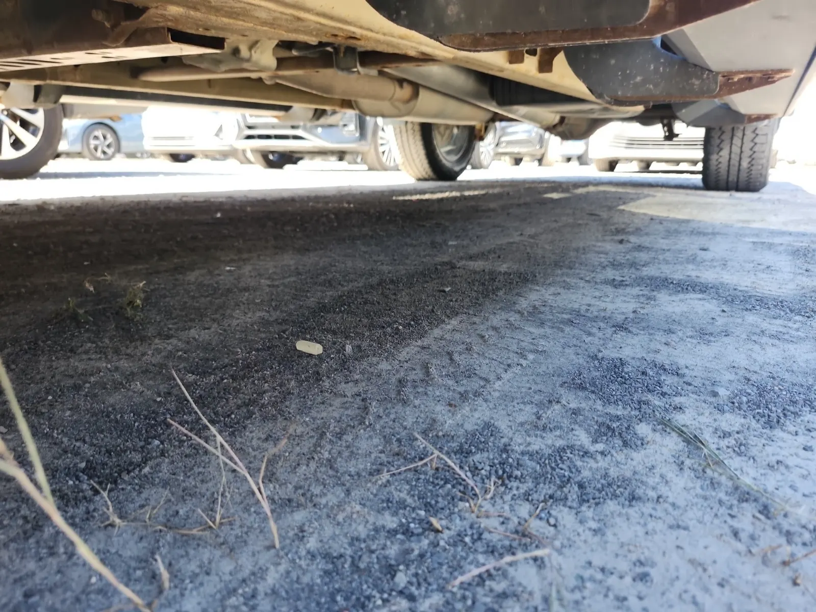 Undercarriage - Driver Photo