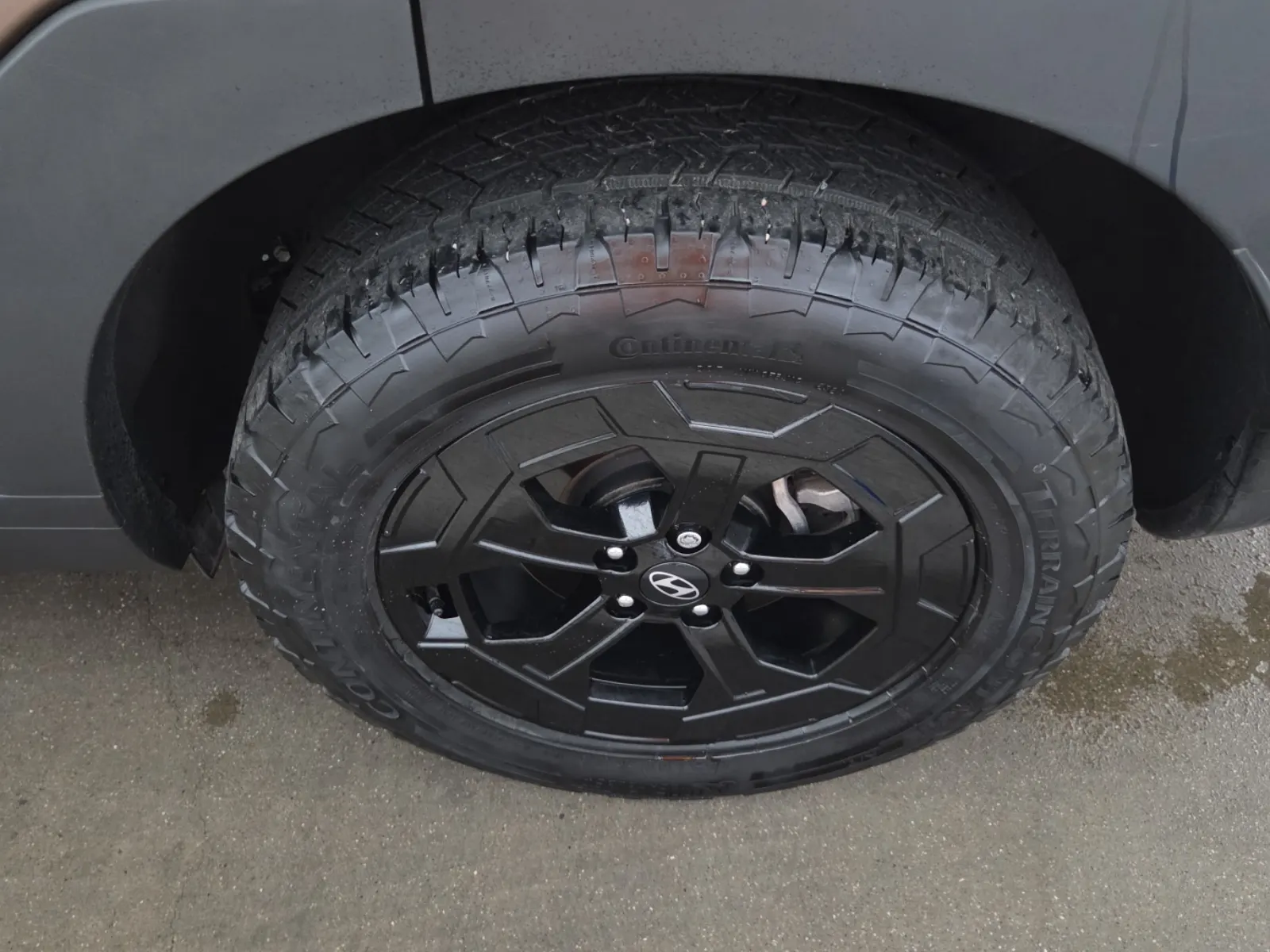 Left Rear Wheel/Tire Photo