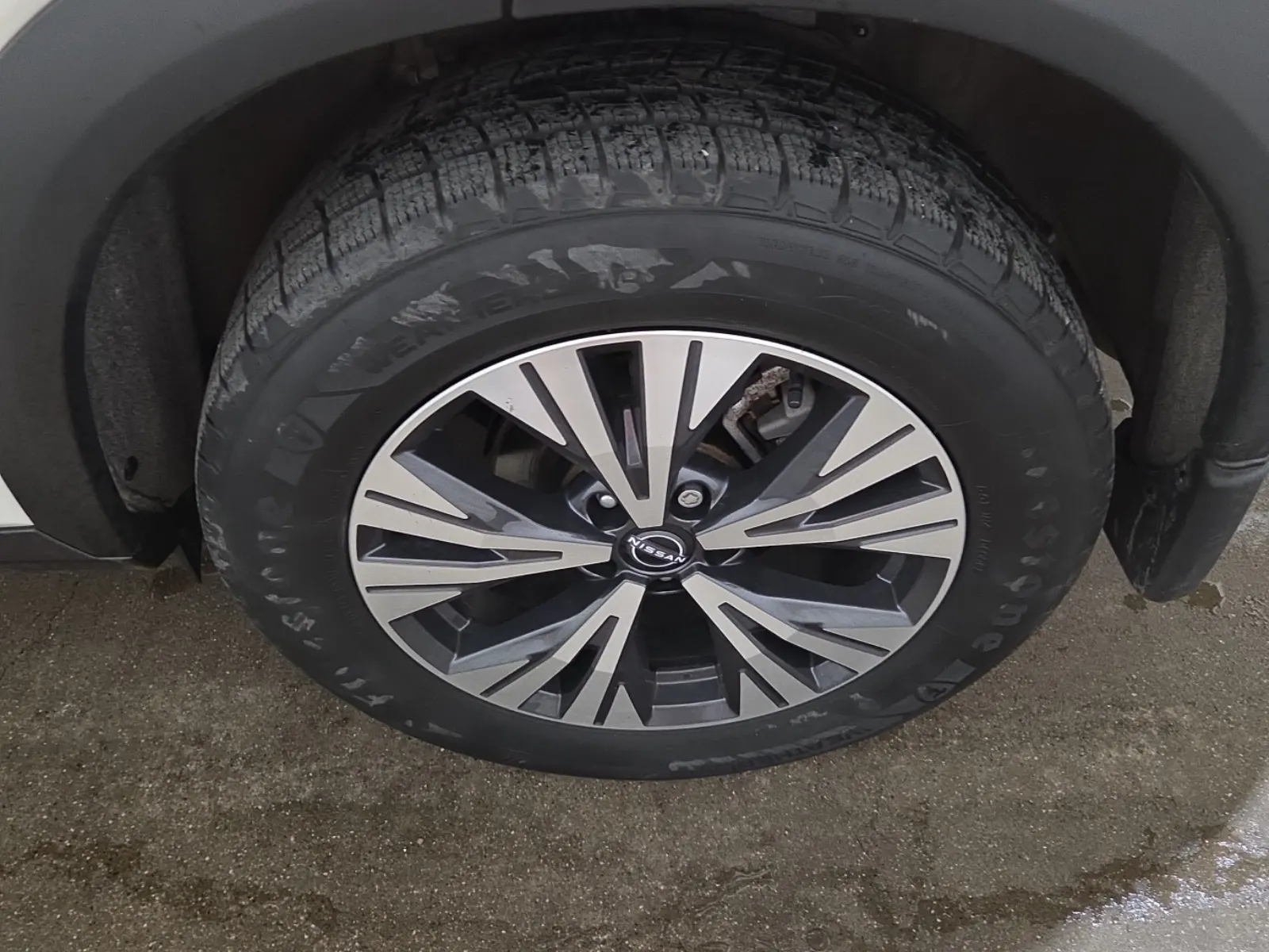 Left Rear Wheel/Tire Photo