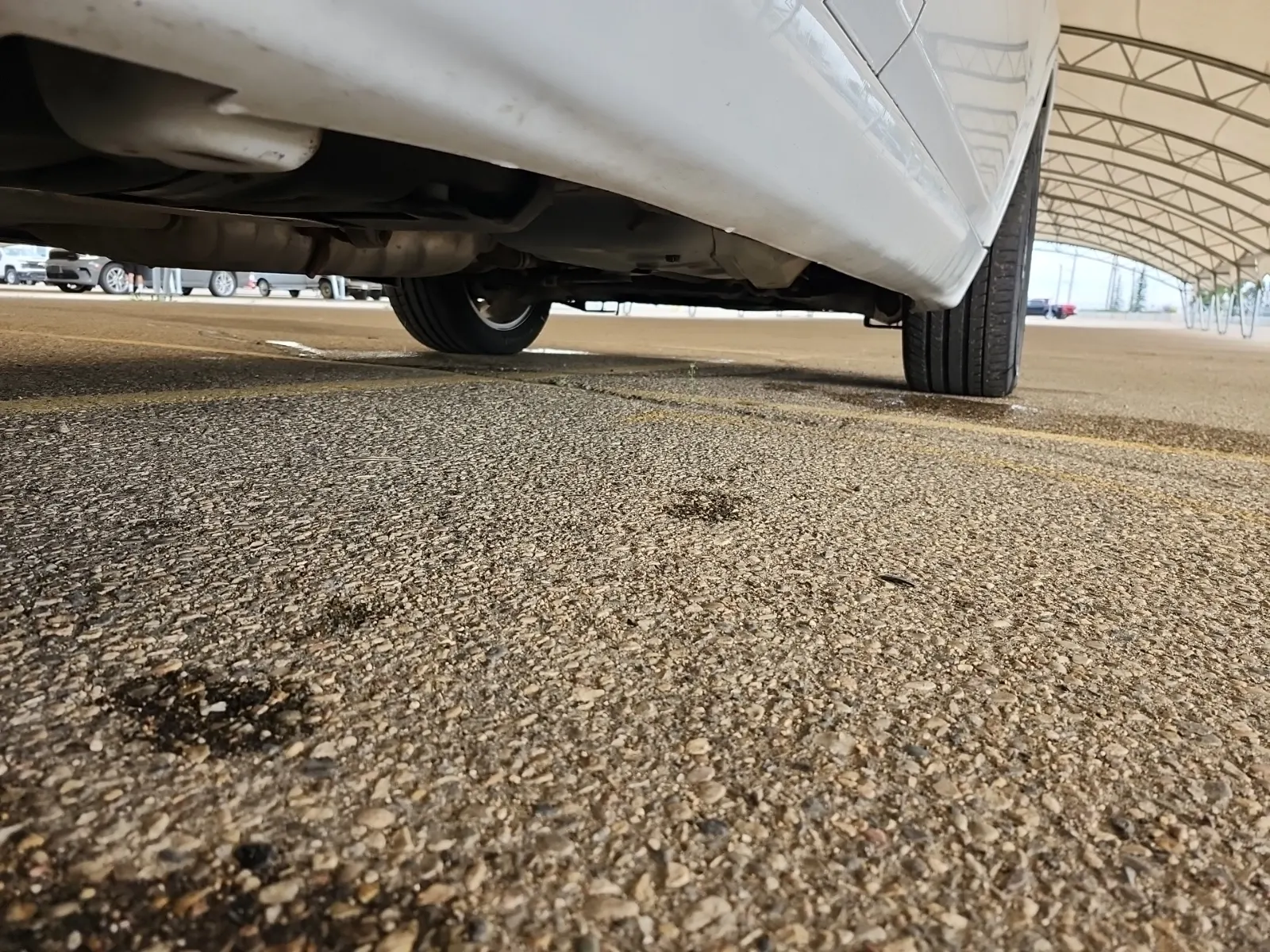 Undercarriage - Passenger Photo