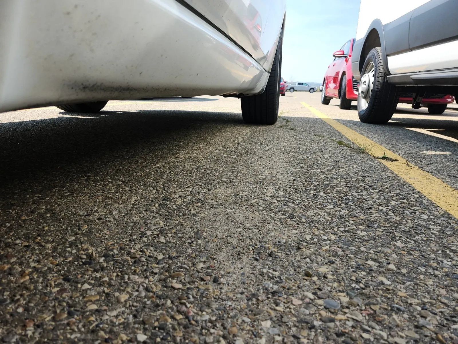Undercarriage - Driver Photo