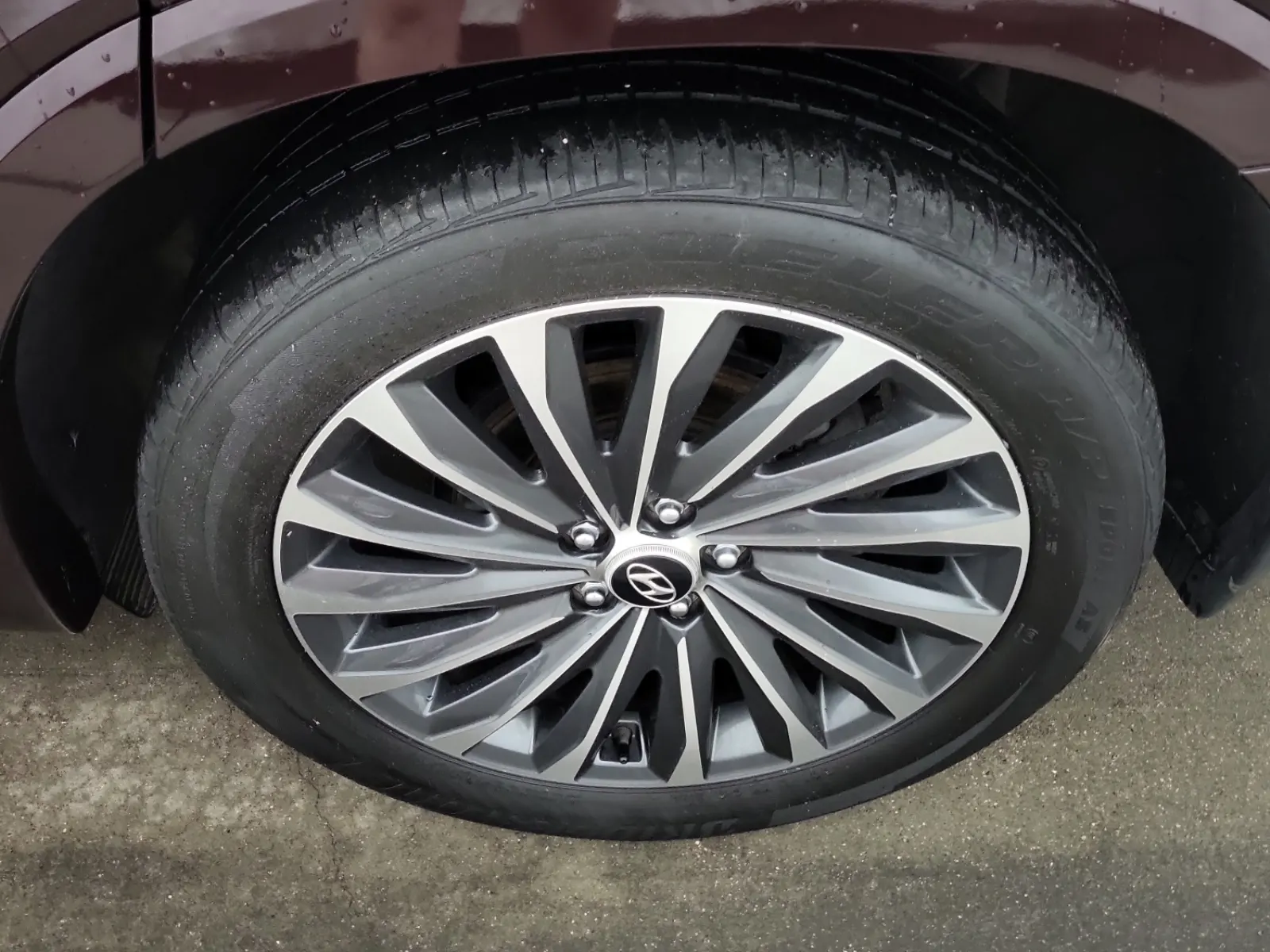 Left Rear Wheel/Tire Photo