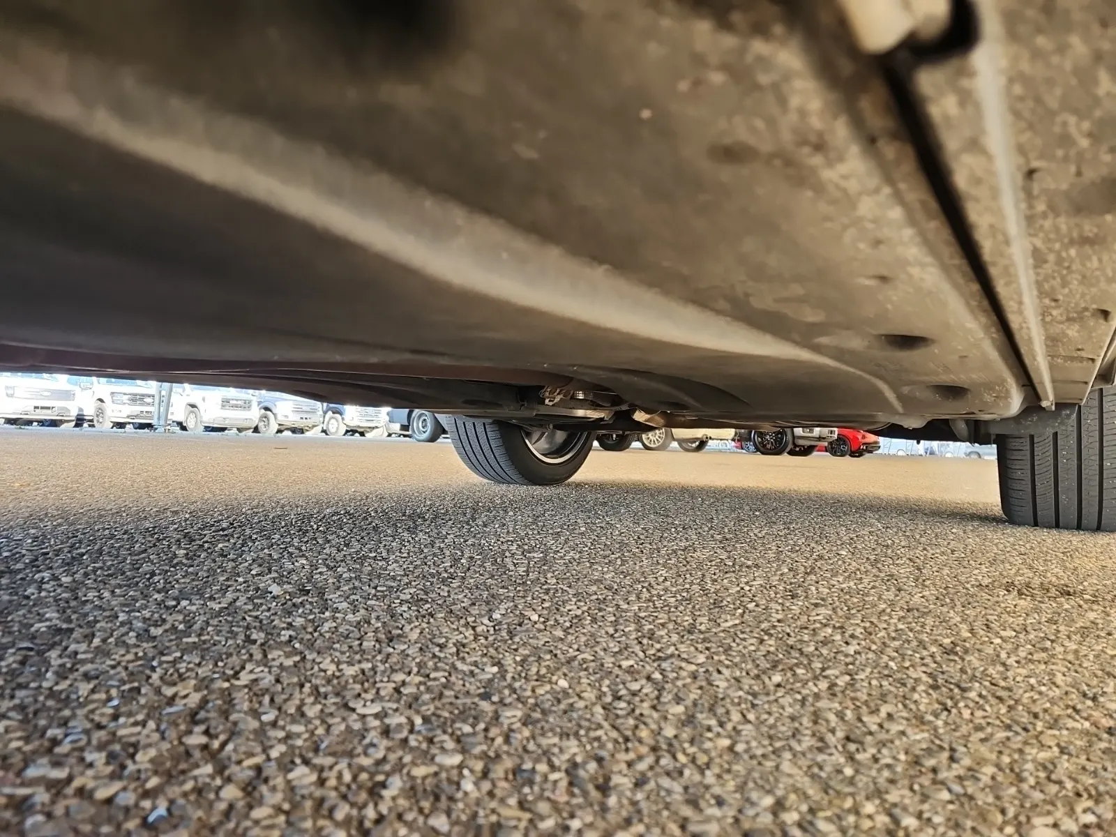 Undercarriage - Driver Photo