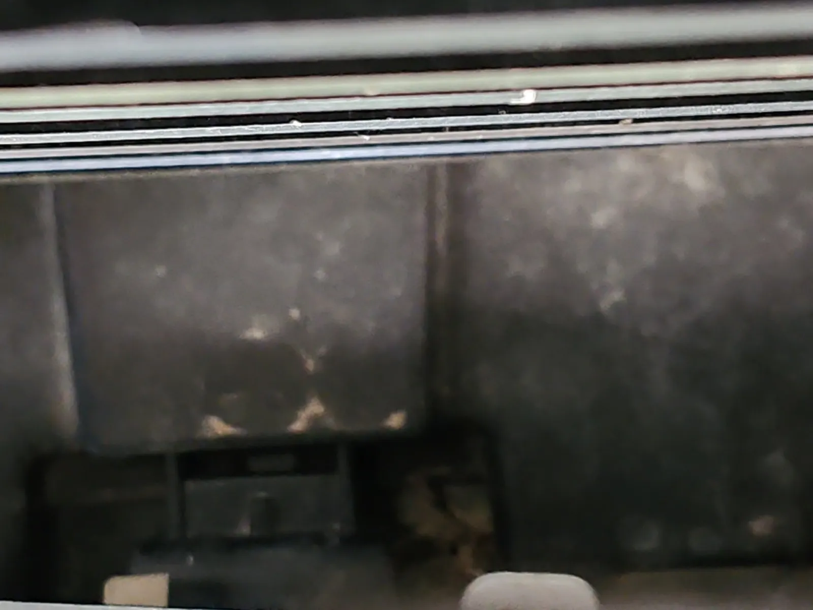 Emission Sticker Photo
