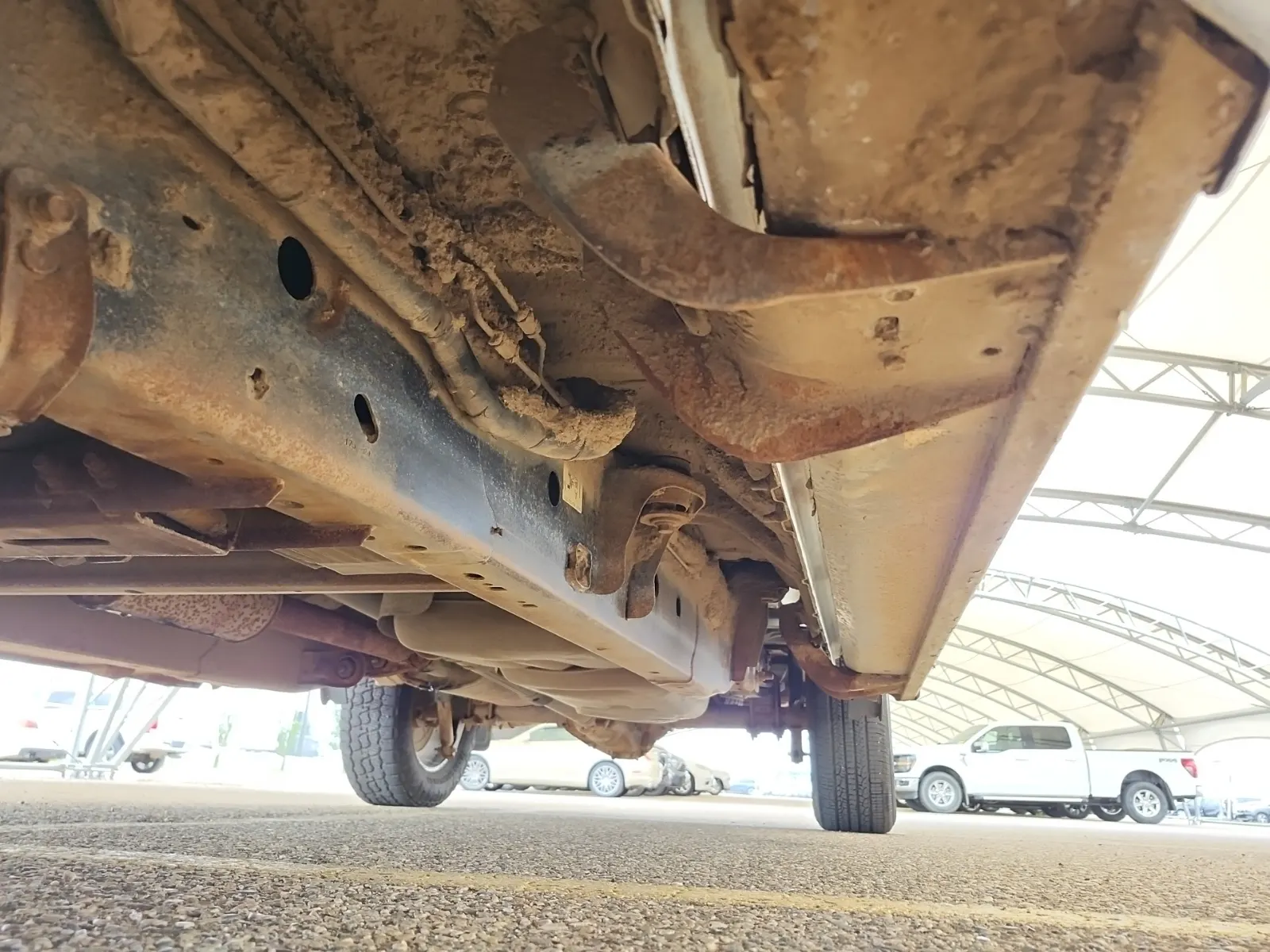 Undercarriage - Driver Photo