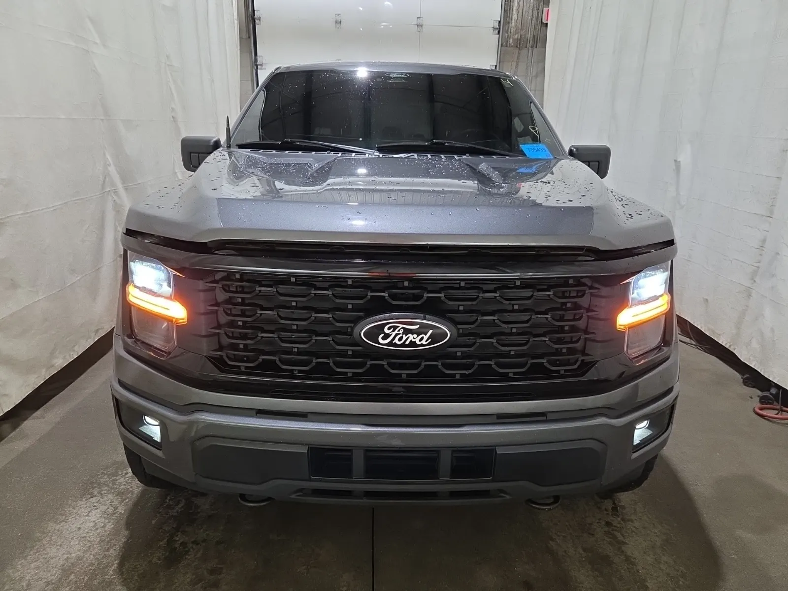 Full Front Photo