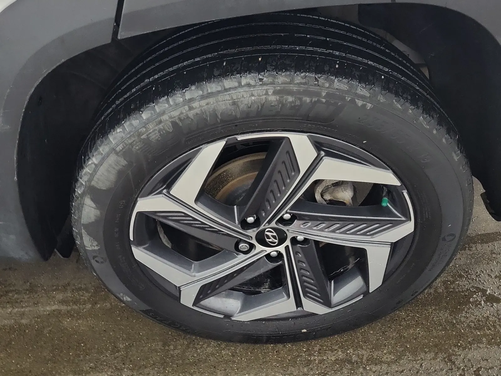Left Rear Wheel/Tire Photo
