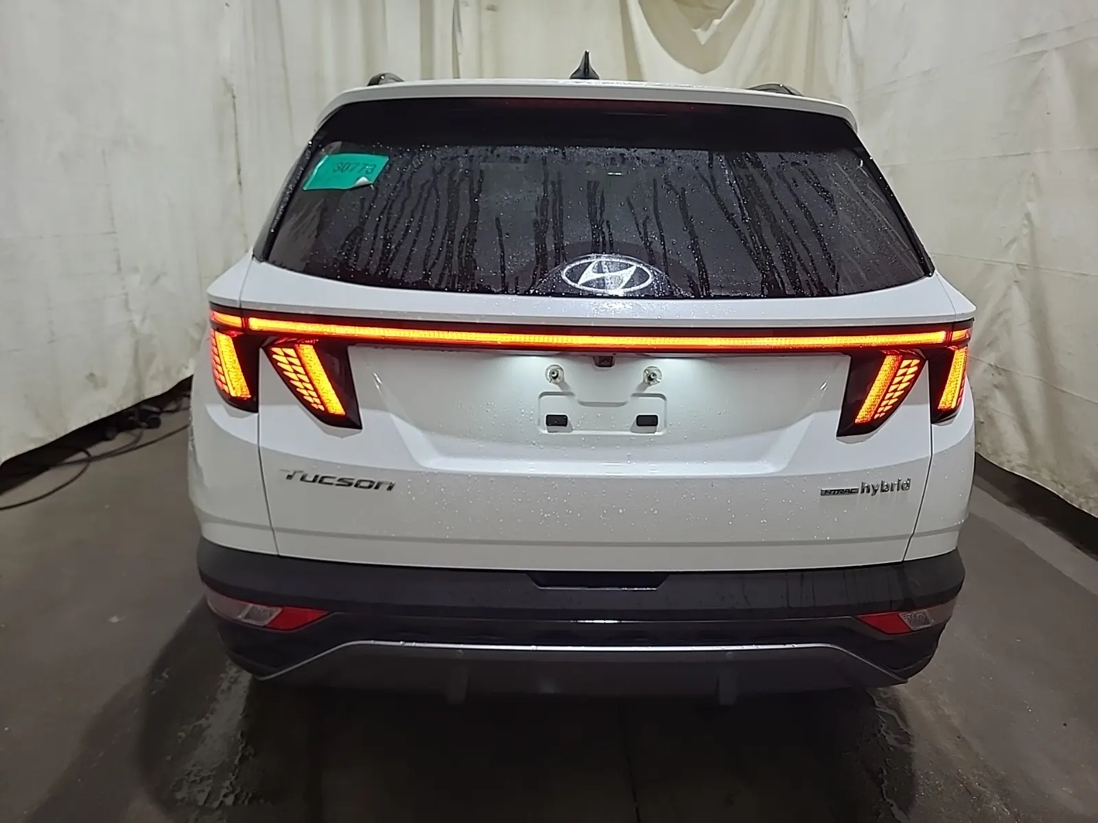 Full Rear Photo