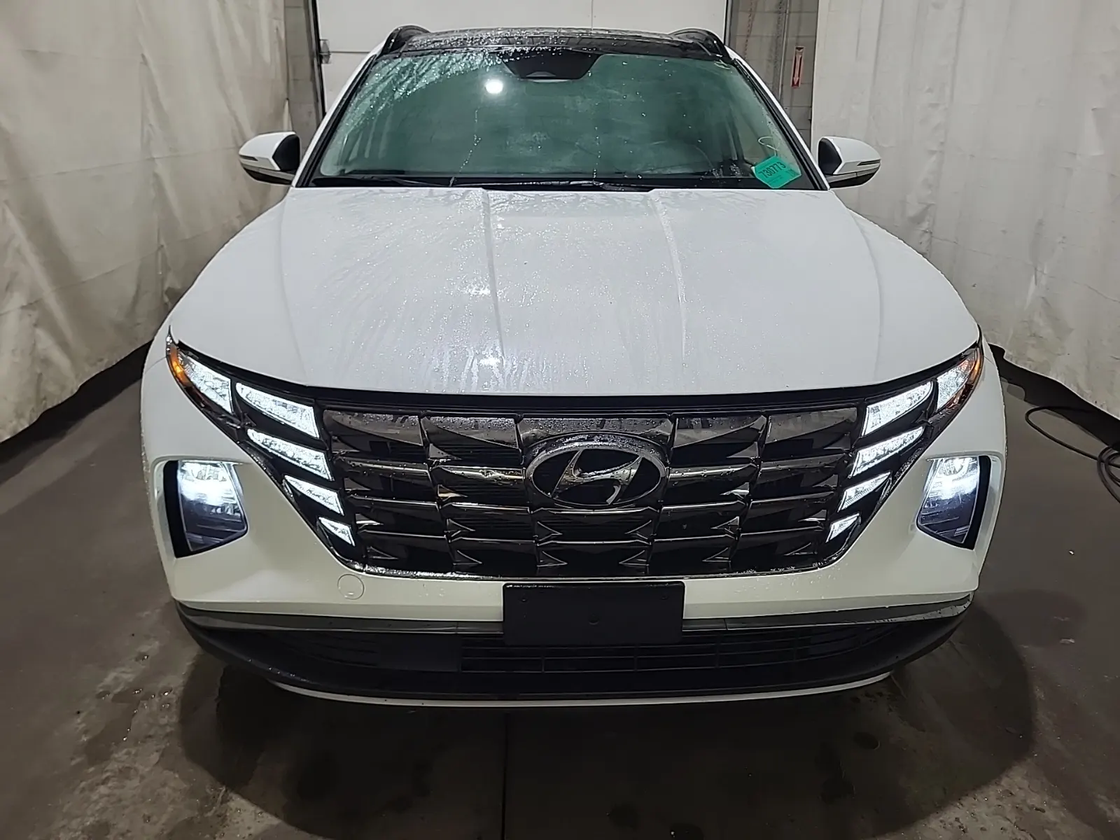 Full Front Photo