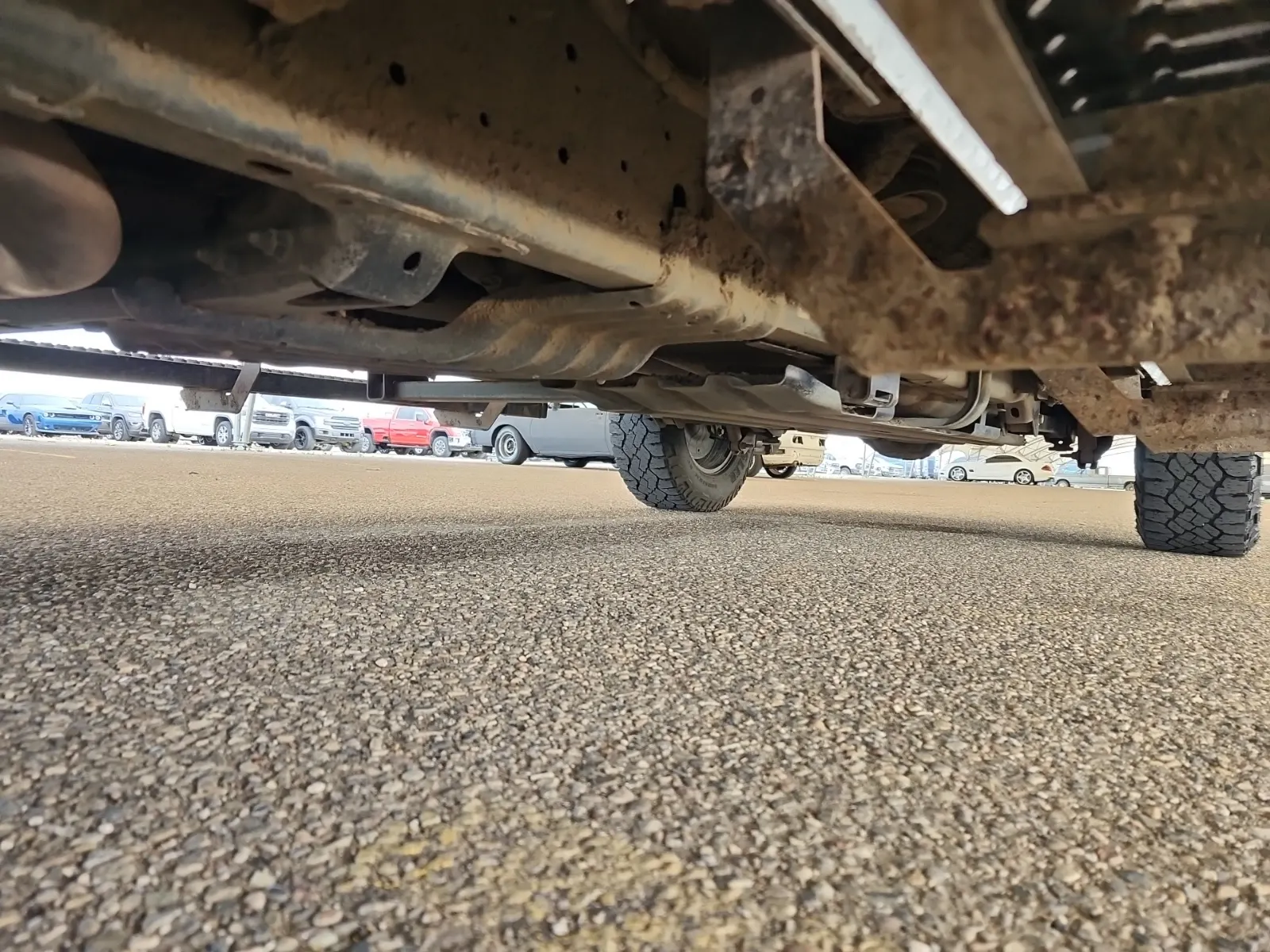 Undercarriage - Driver Photo