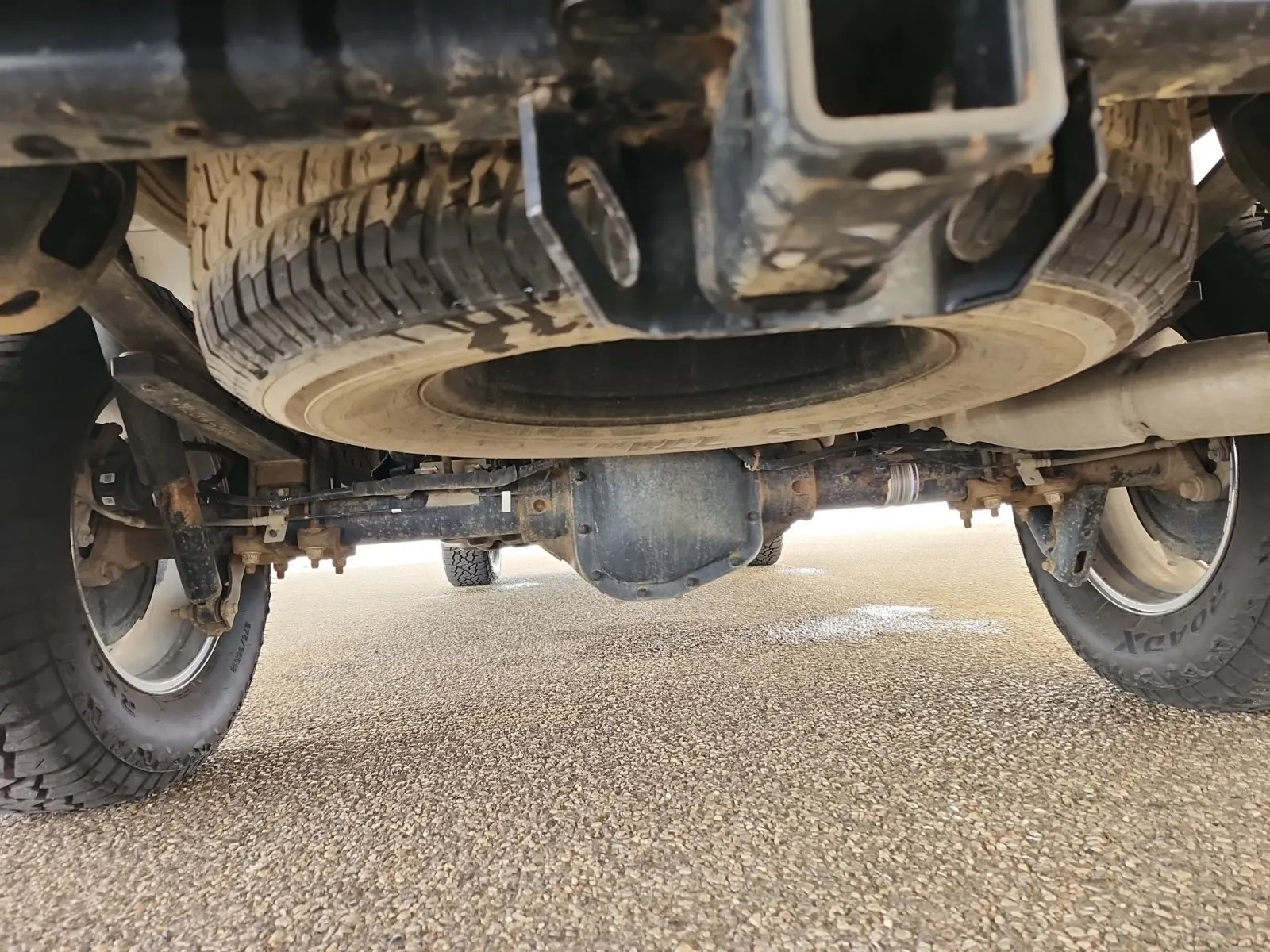 Undercarriage - Rear Photo