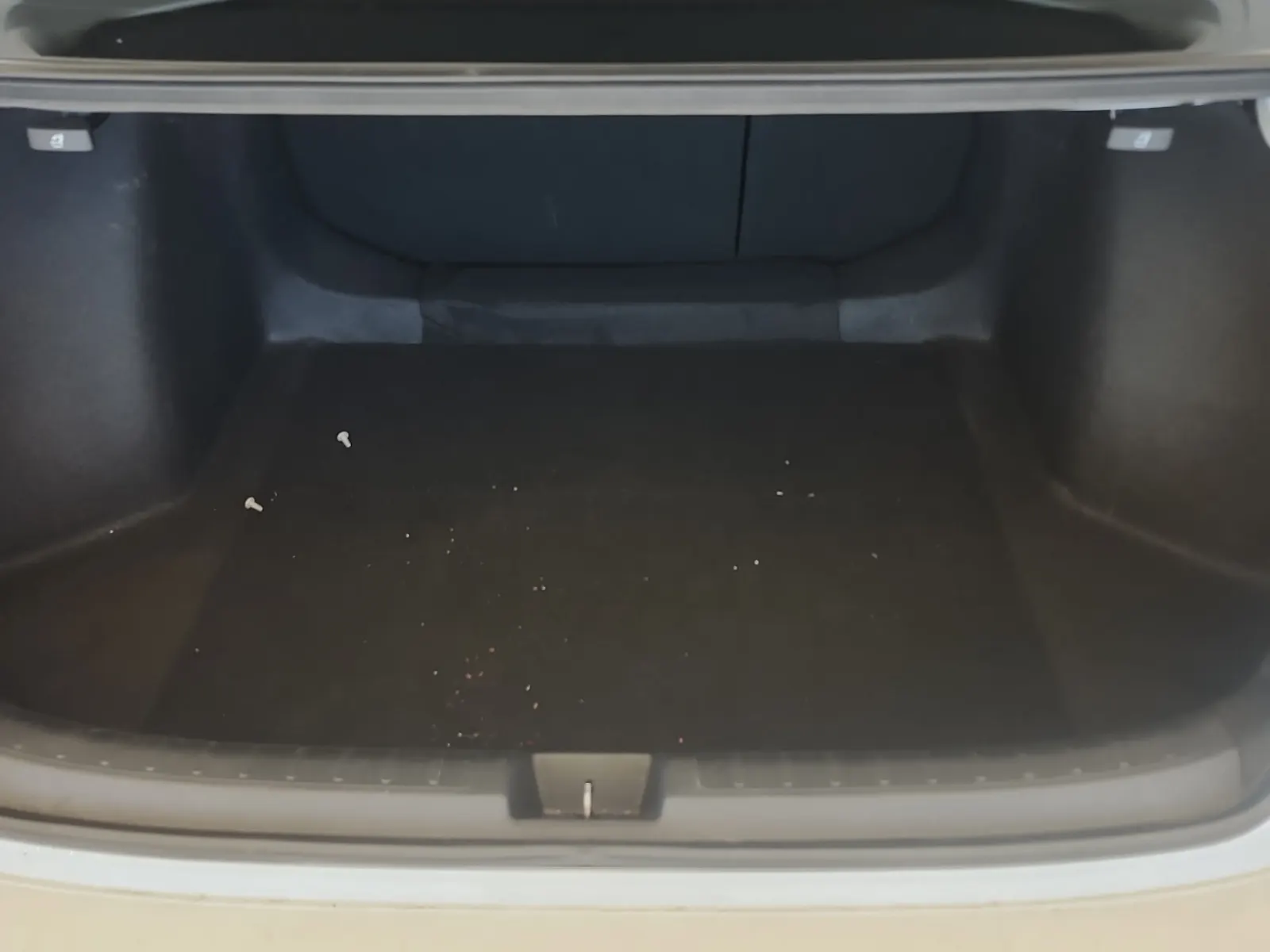 Cargo Area Photo