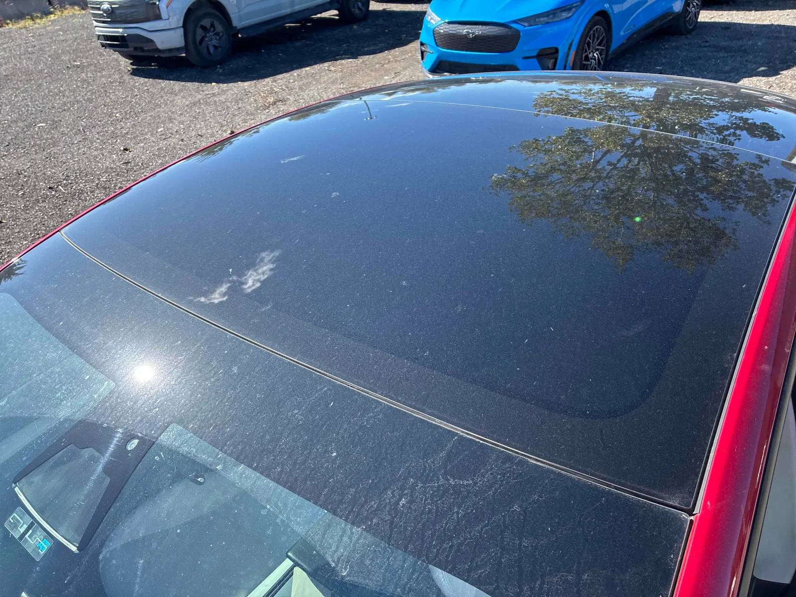 Additional Photo