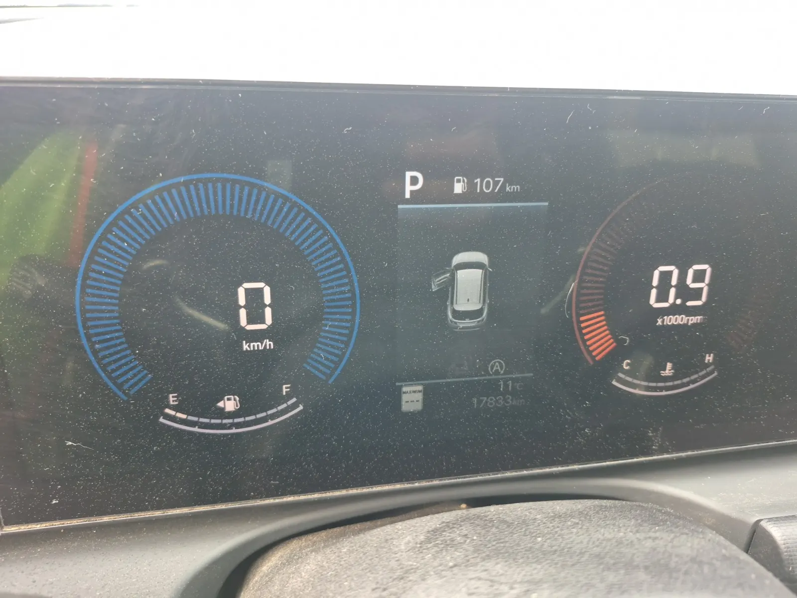Odometer Photo