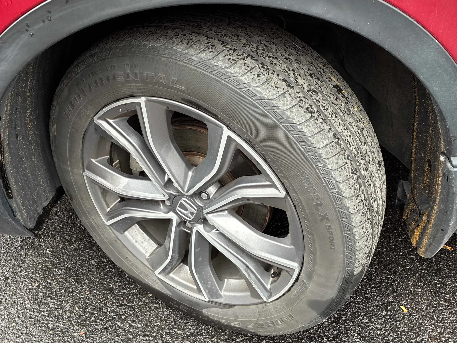 Tire