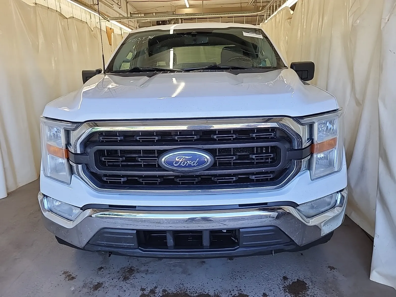 Full Front Photo