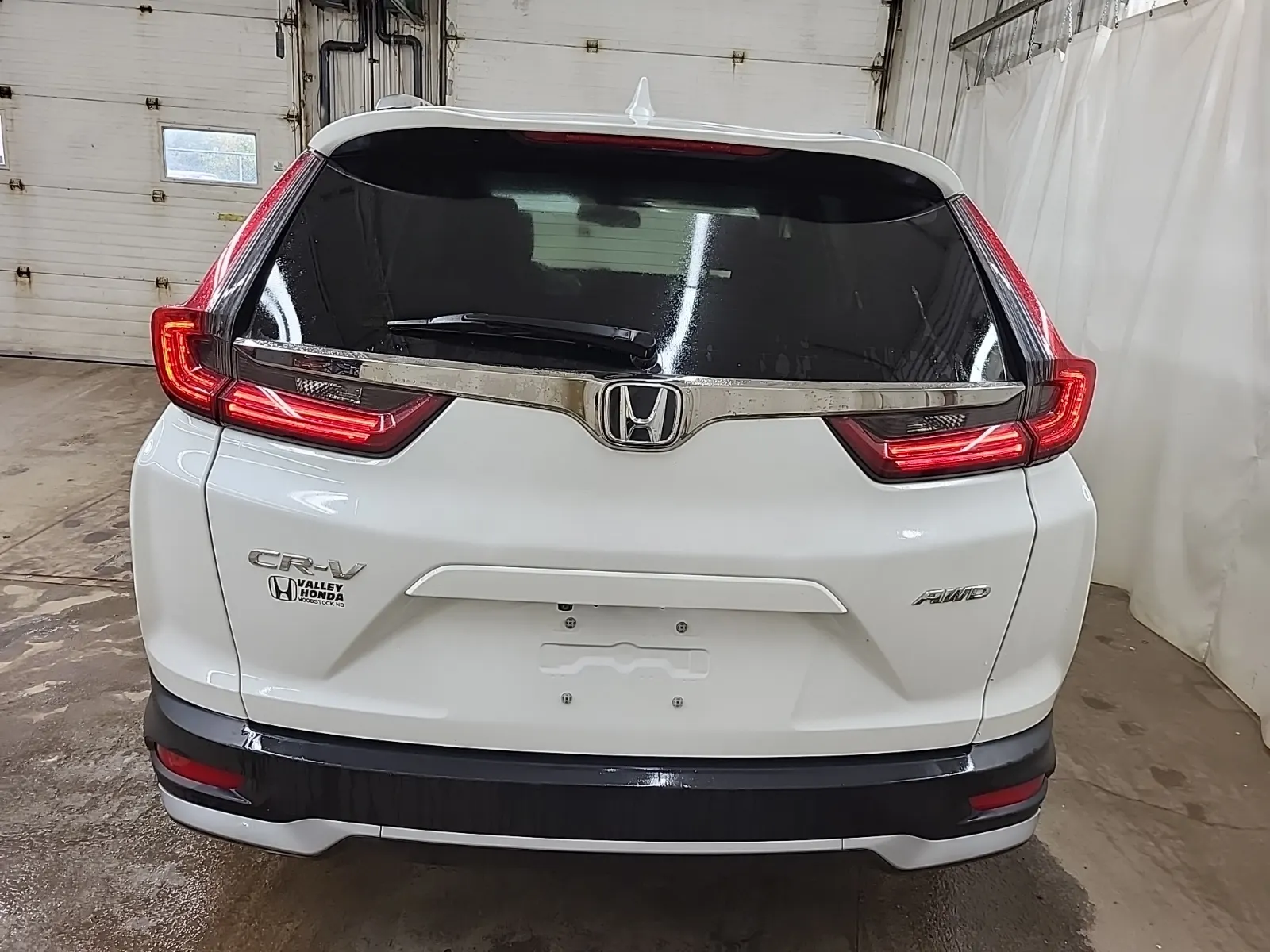 Full Rear Photo