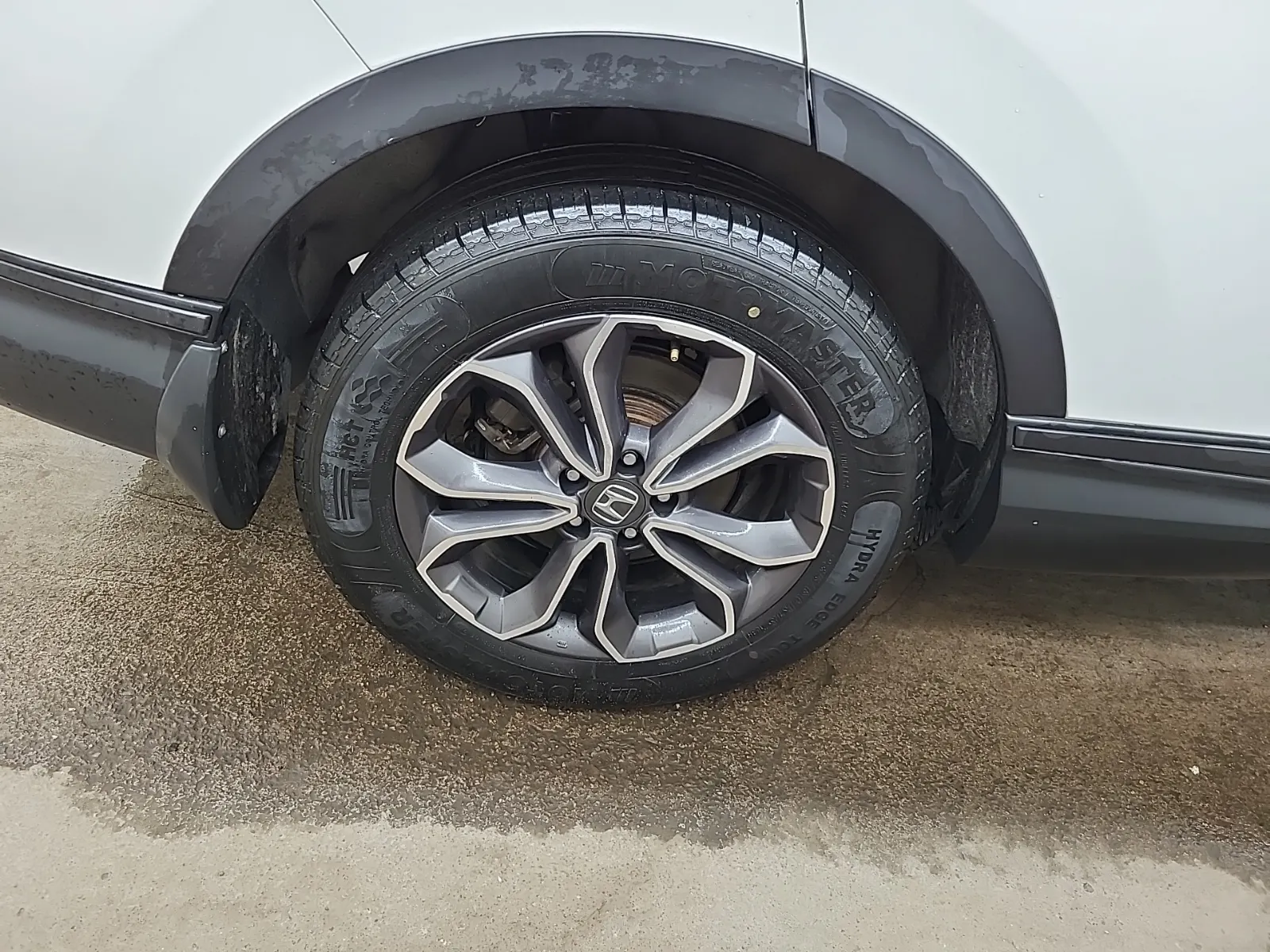 Right Rear Wheel/Tire Photo