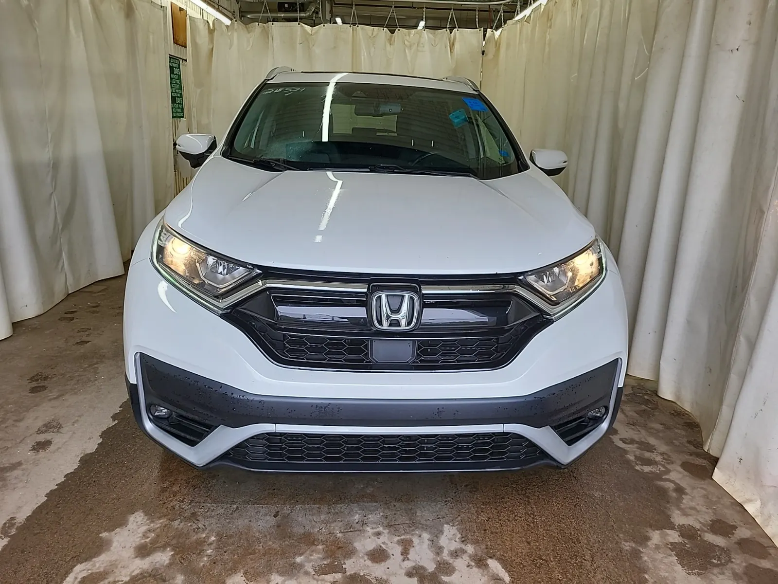Full Front Photo