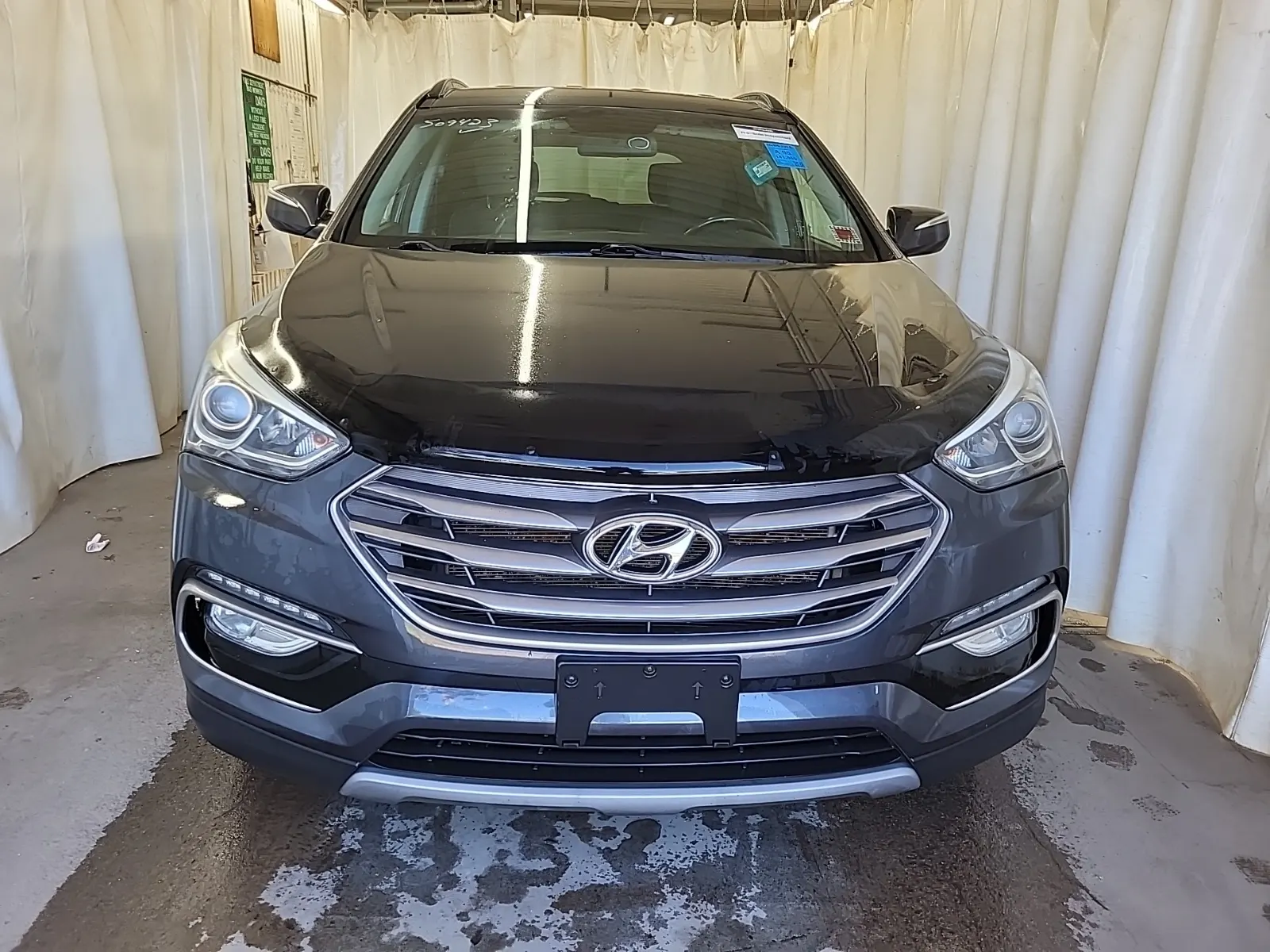 Full Front Photo