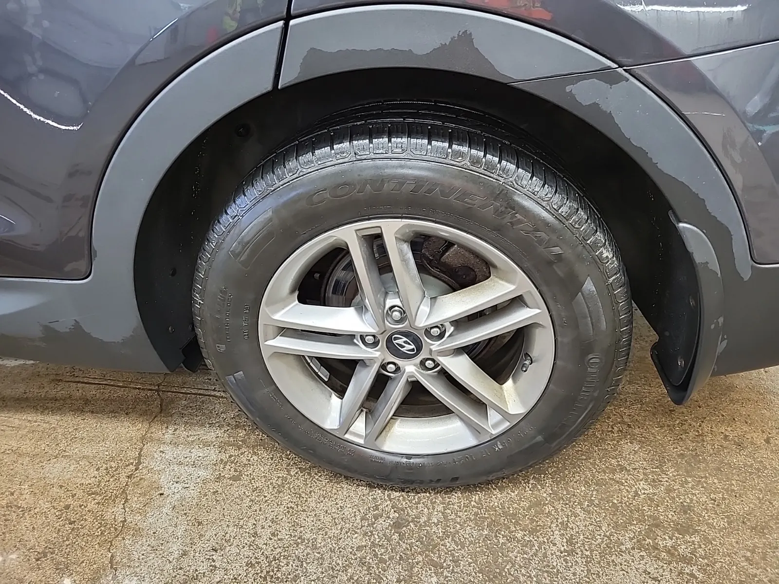 Left Rear Wheel/Tire Photo