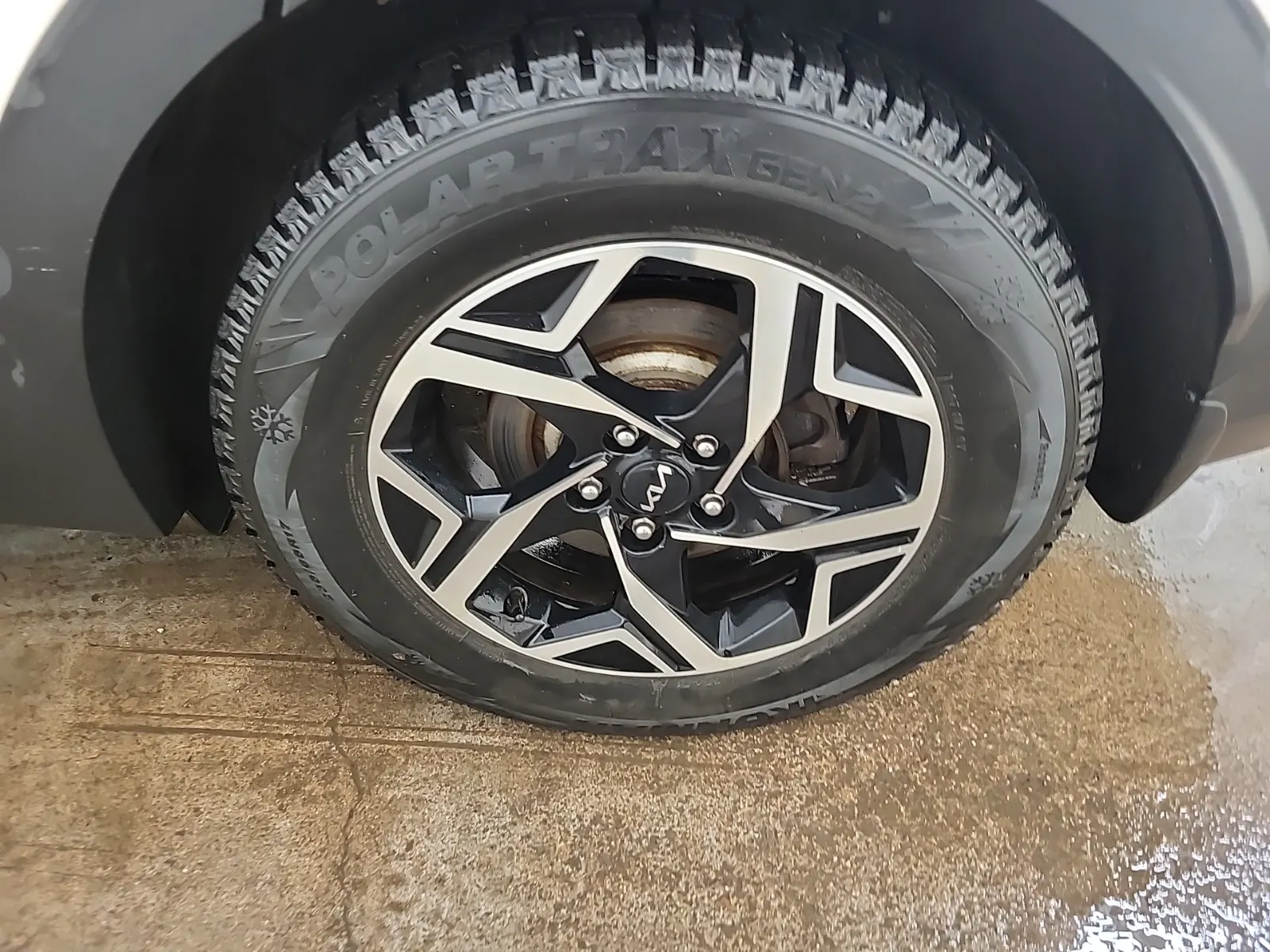 Left Rear Wheel/Tire Photo