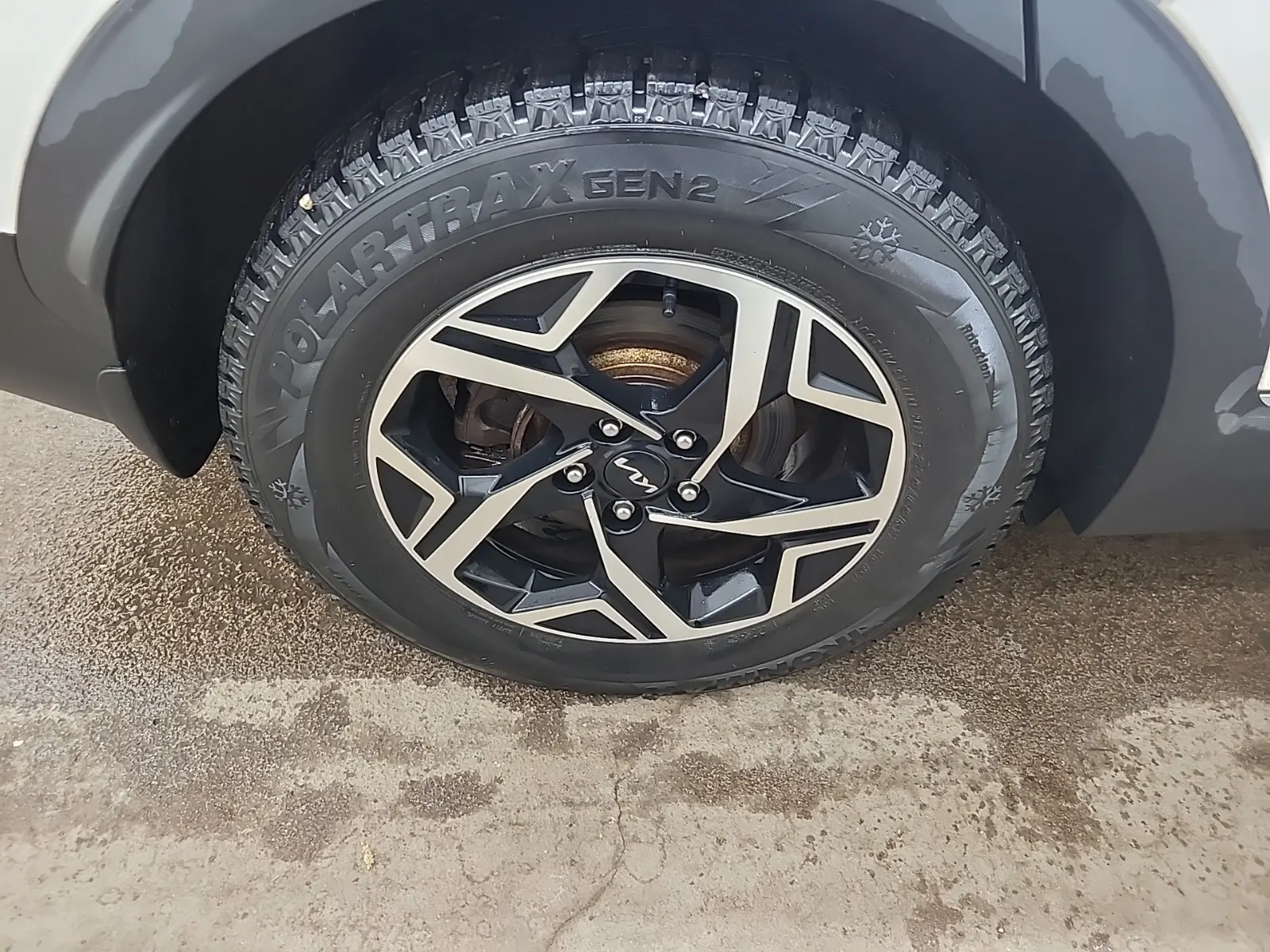 Right Rear Wheel/Tire Photo