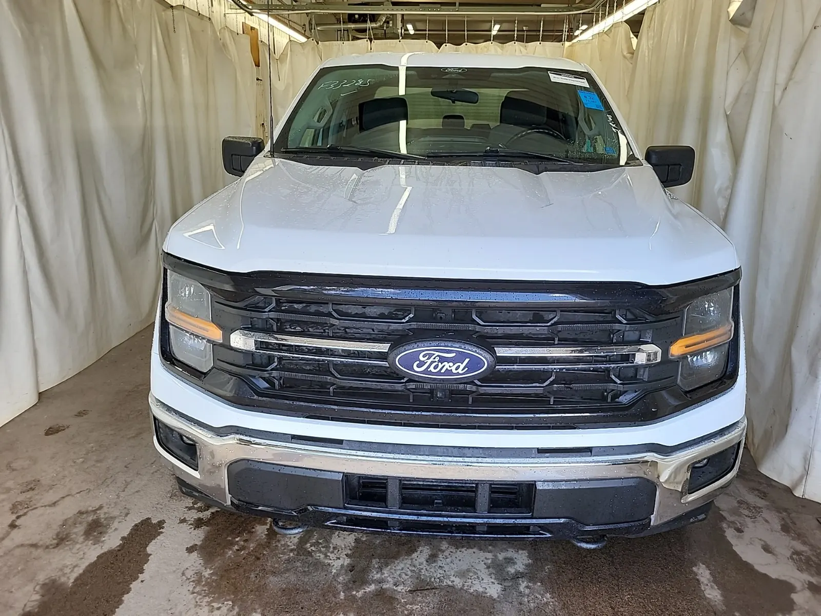 Full Front Photo