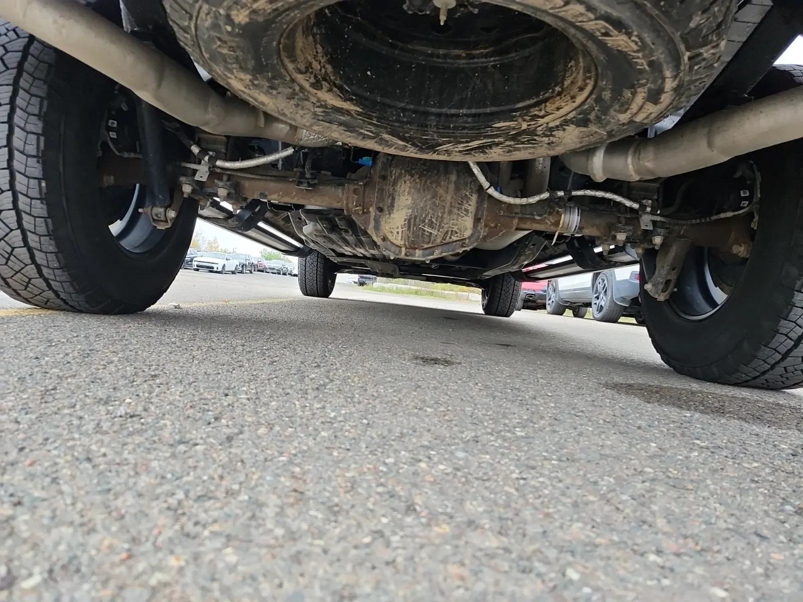 Undercarriage - Rear Photo