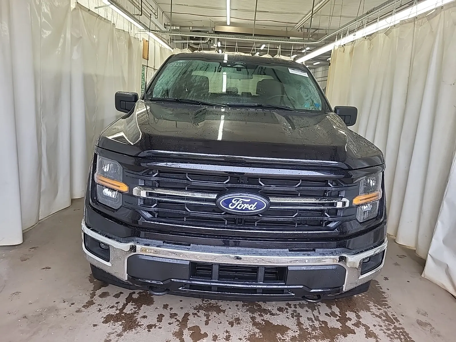 Full Front Photo