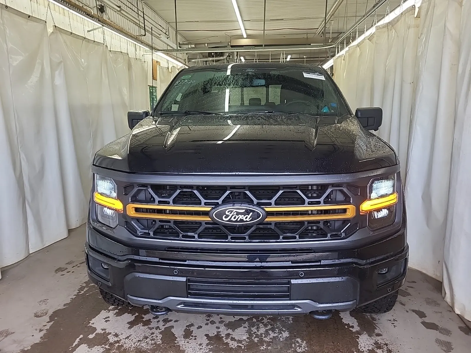 Full Front Photo