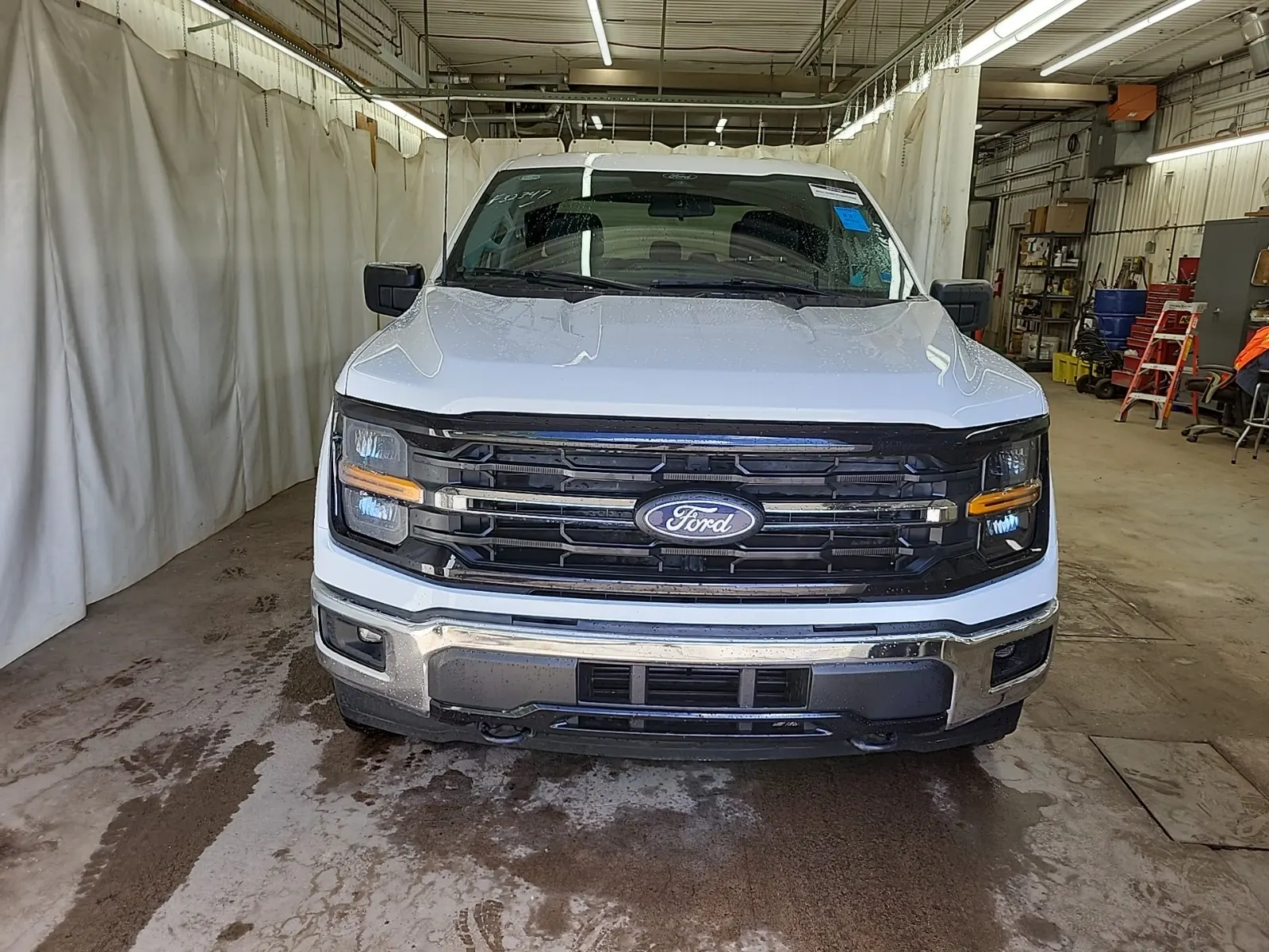 Full Front Photo