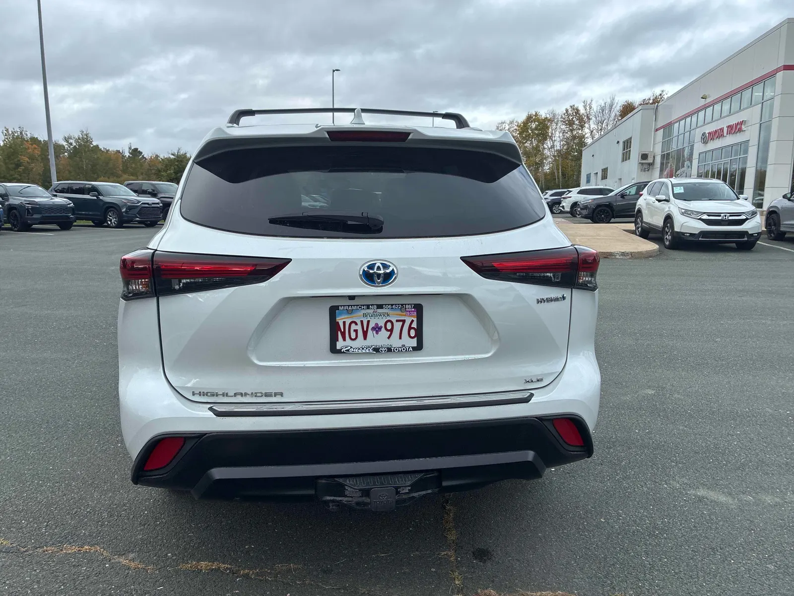 Back