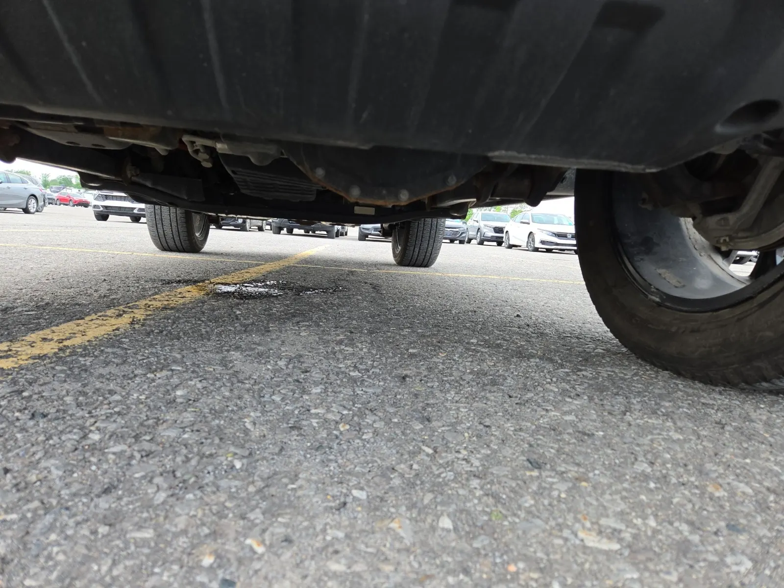 Undercarriage - Front Photo