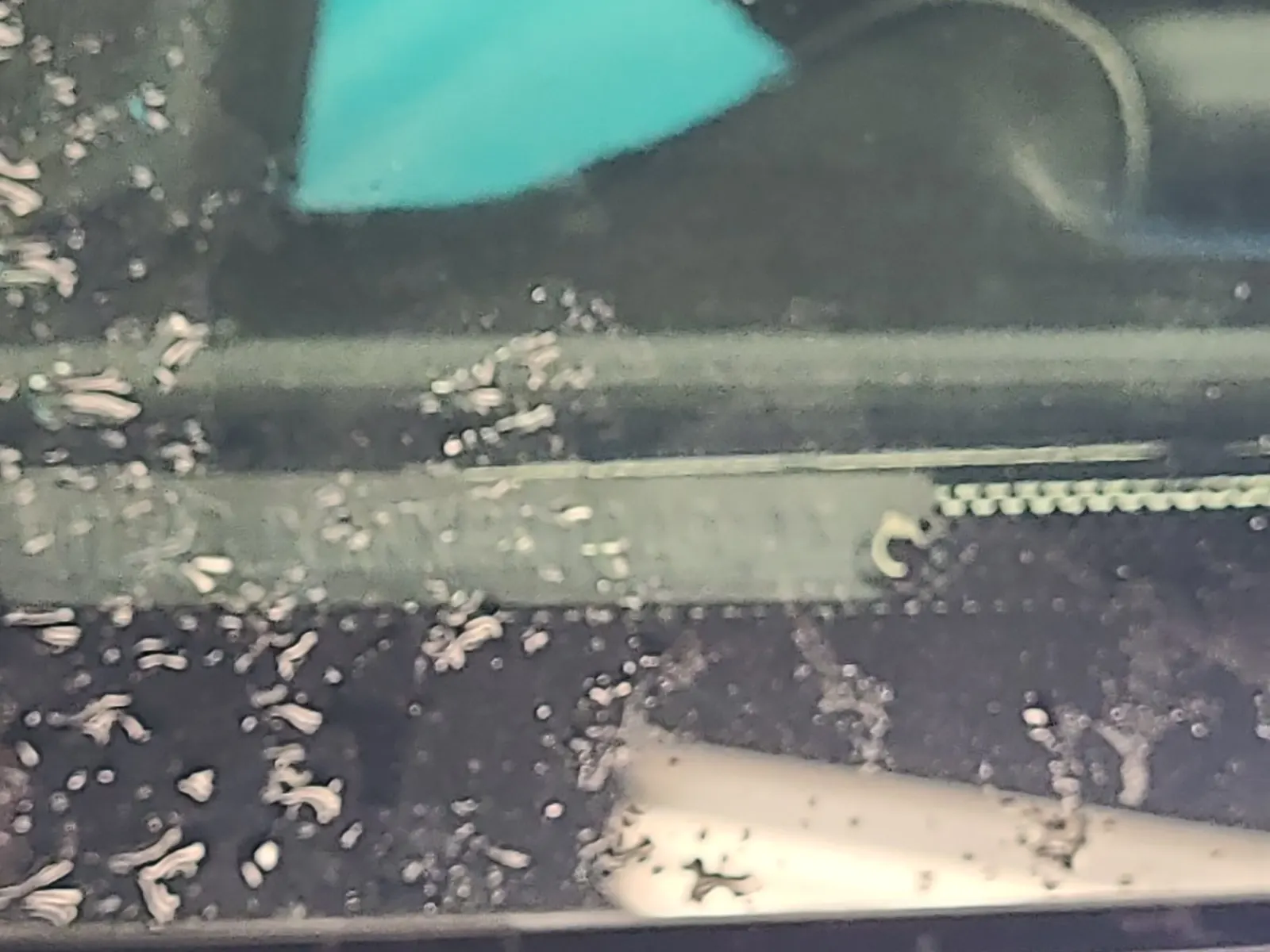 Dash VIN Plate Photo