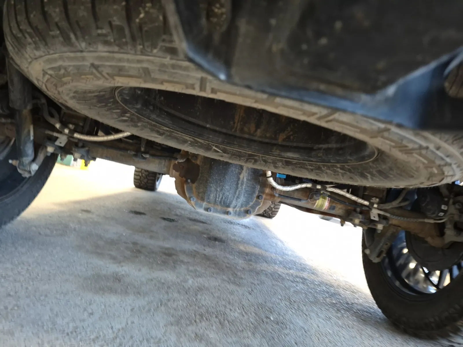 Undercarriage - Rear Photo