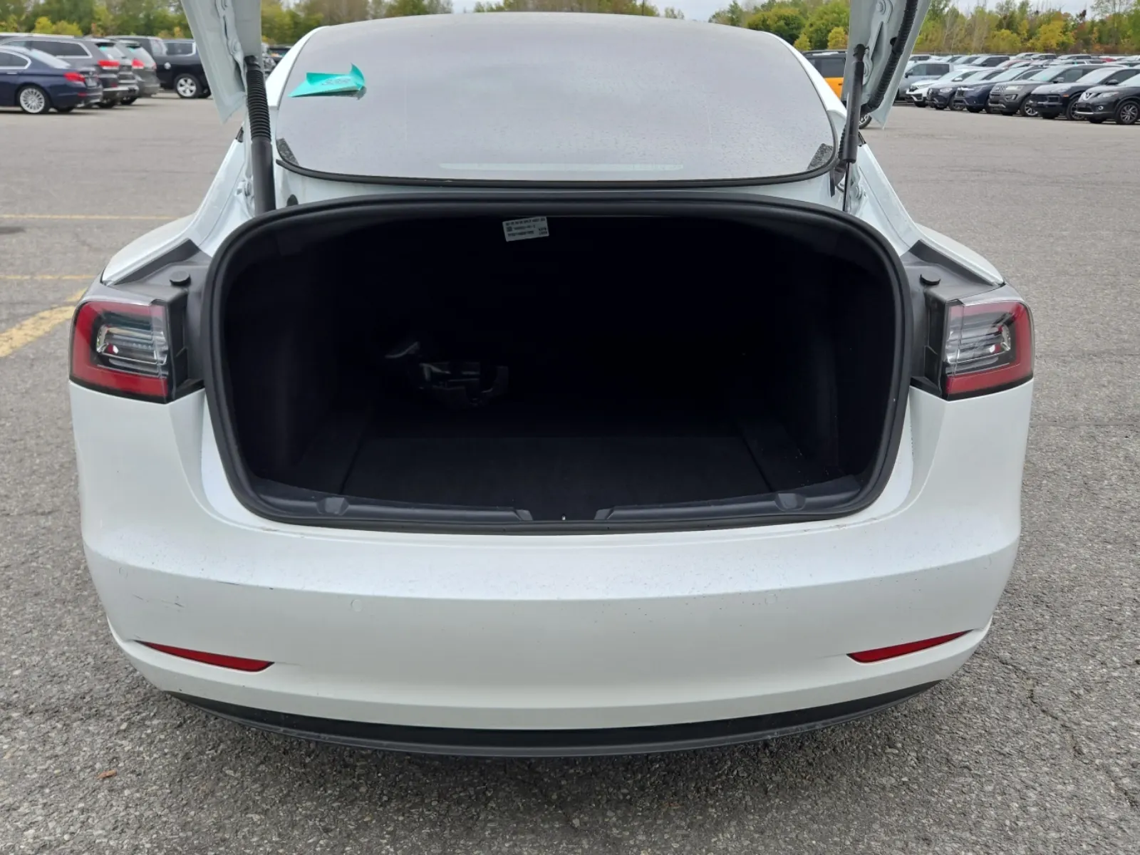 Cargo Area Photo