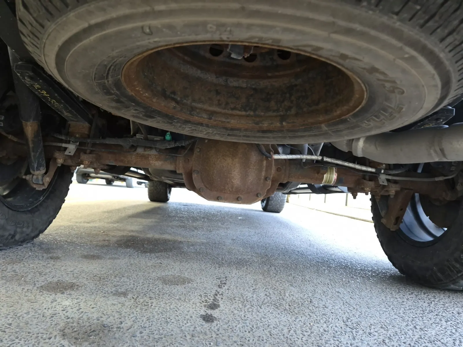 Undercarriage - Rear Photo