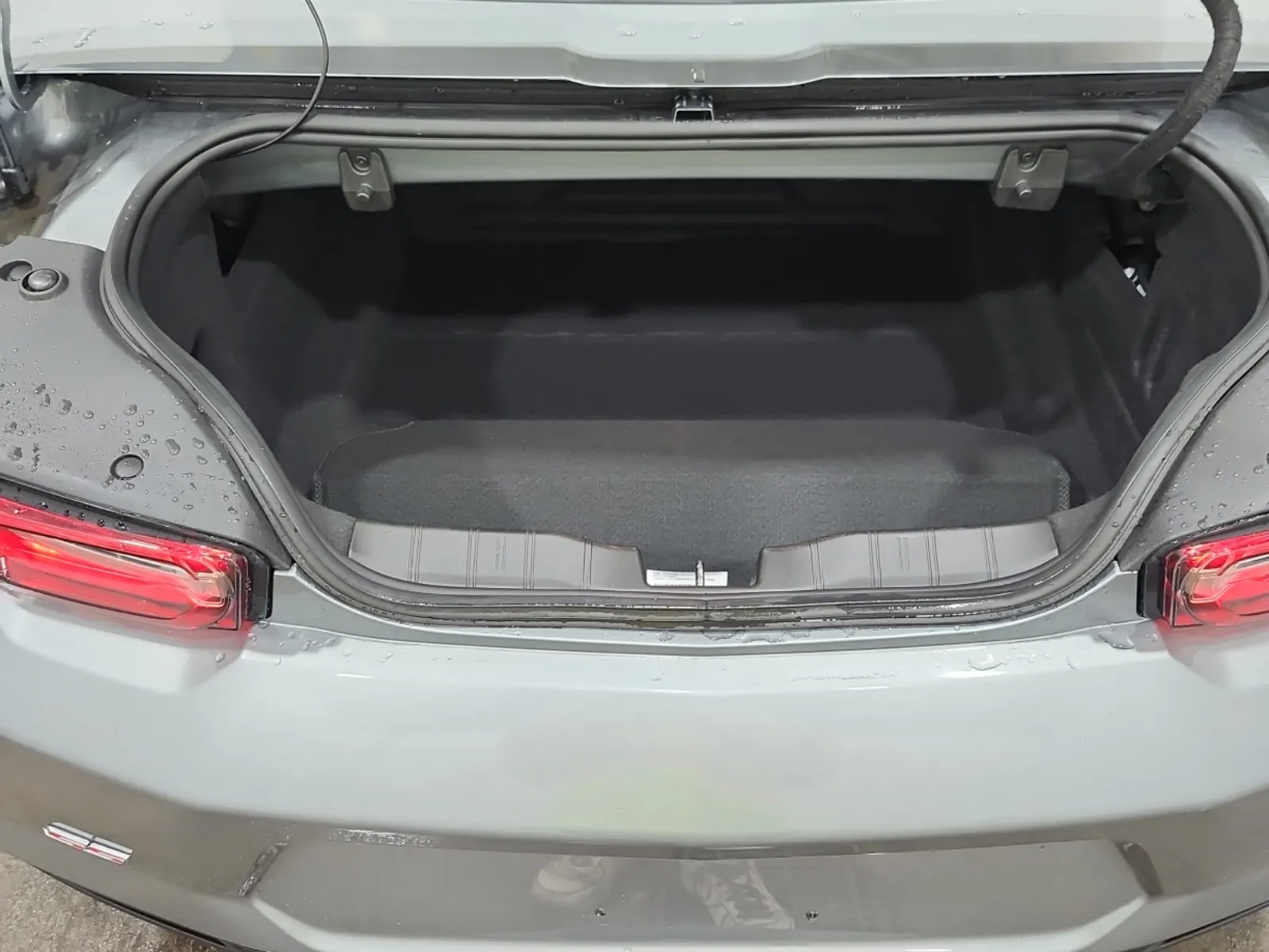 Cargo Area Photo
