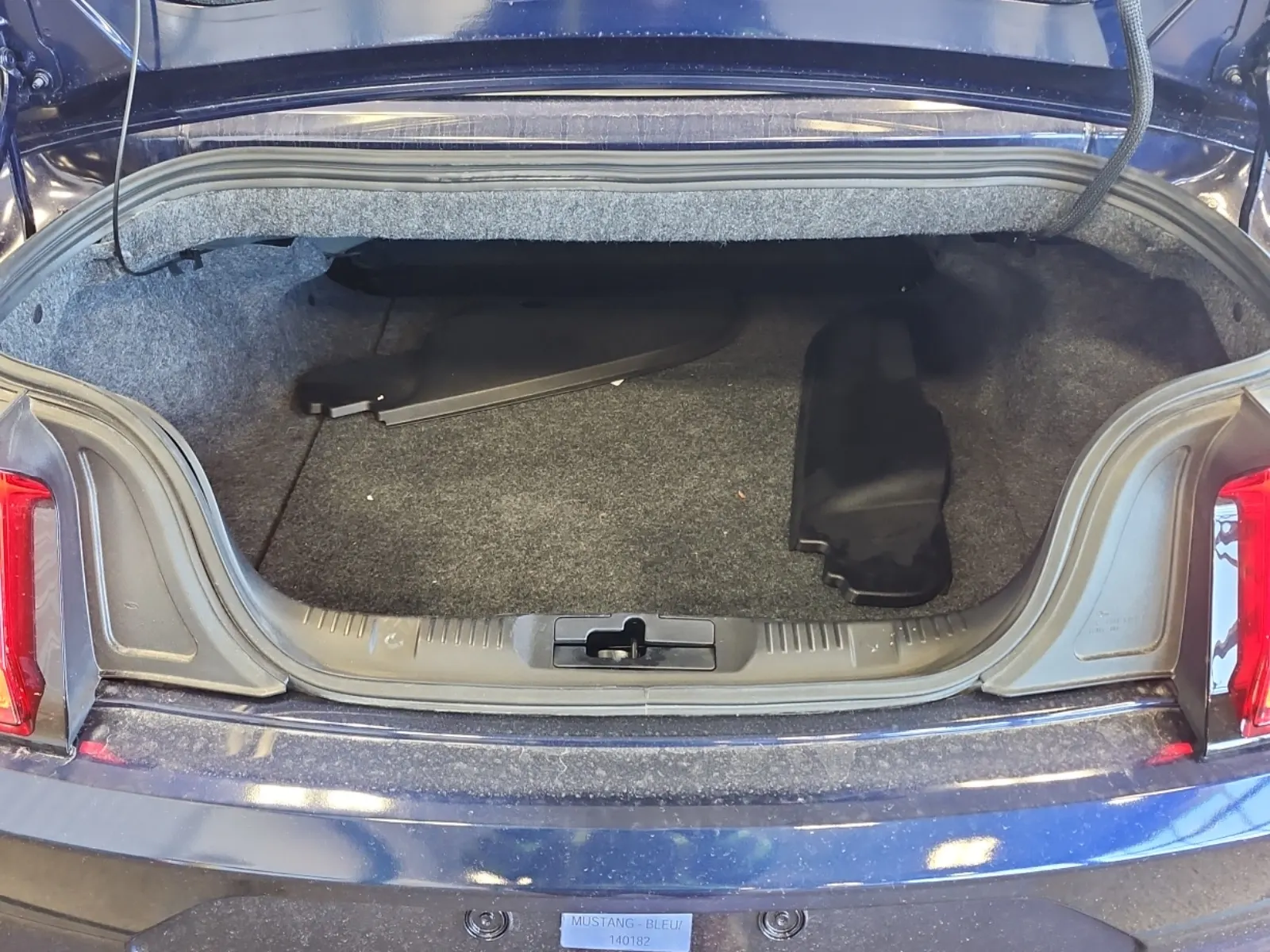 Cargo Area Photo