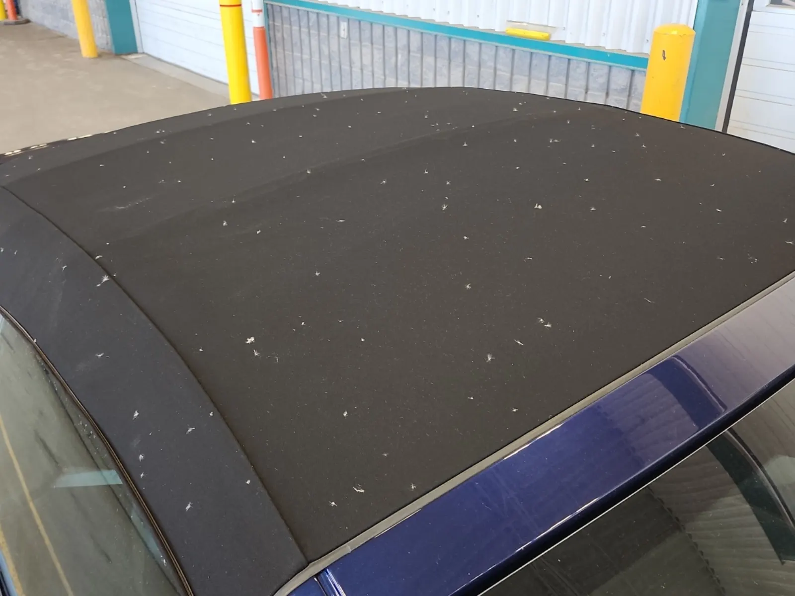 Exterior Roof Photo