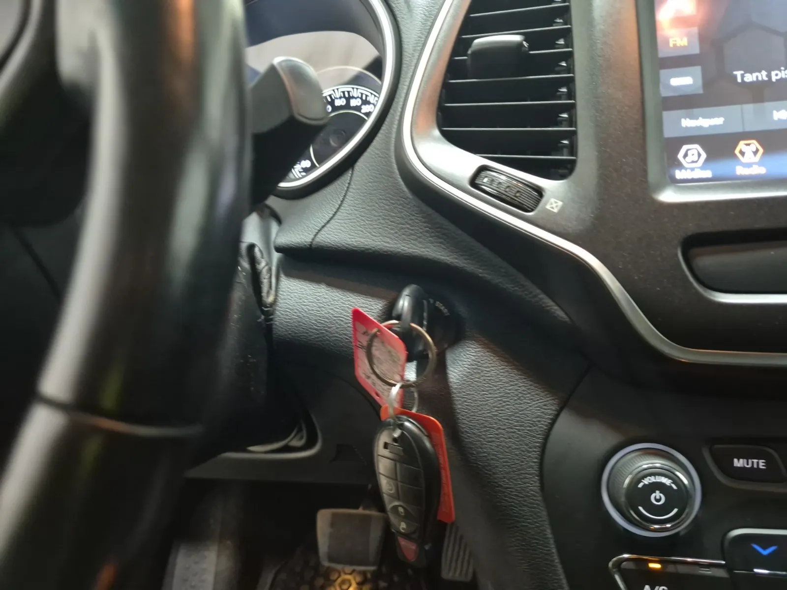 Keys/Fobs/Manual Photo