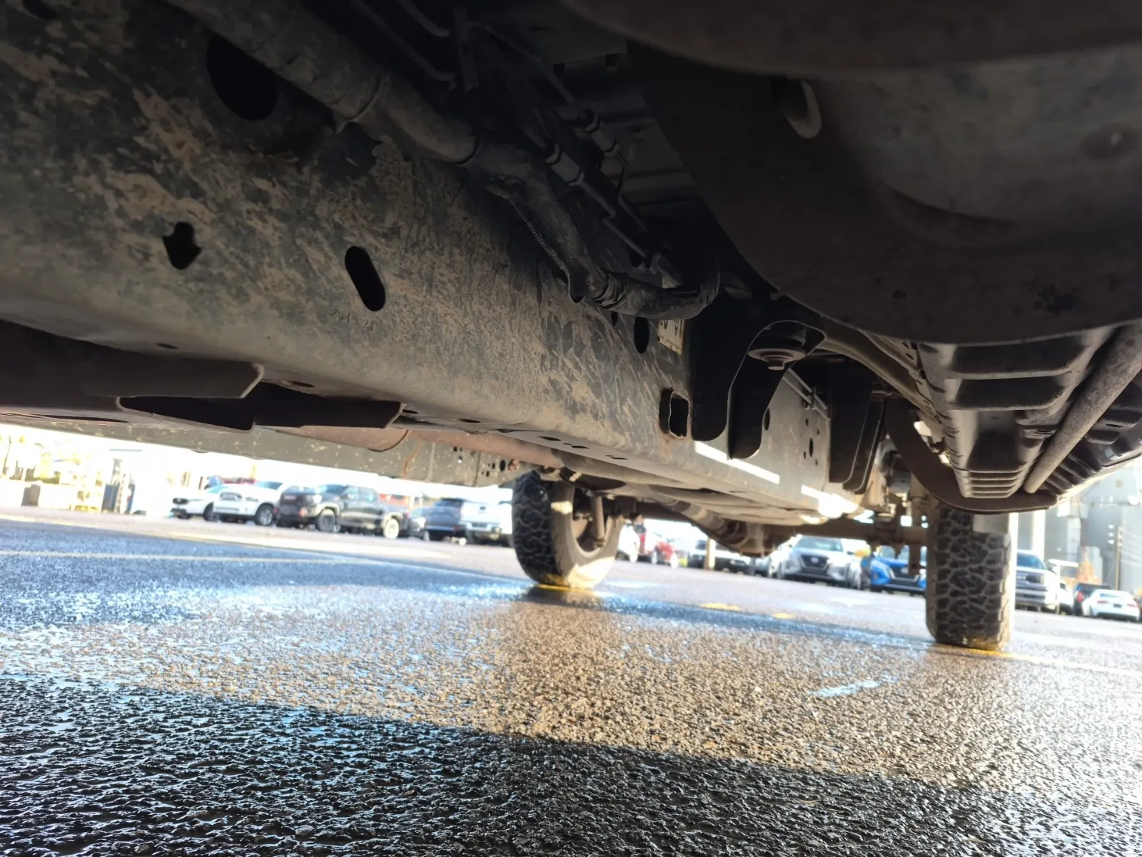 Undercarriage - Driver Photo