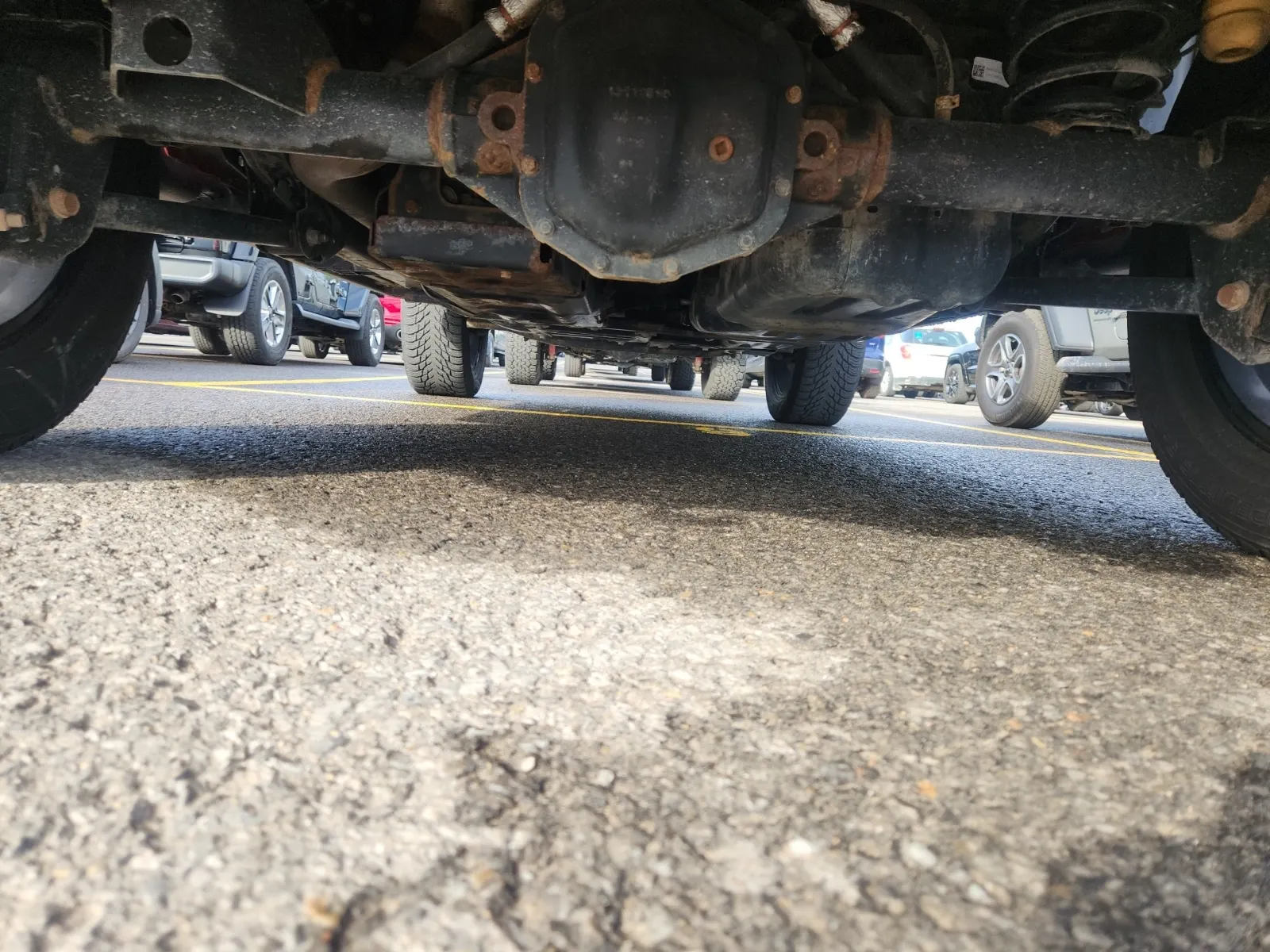 Undercarriage - Rear Photo