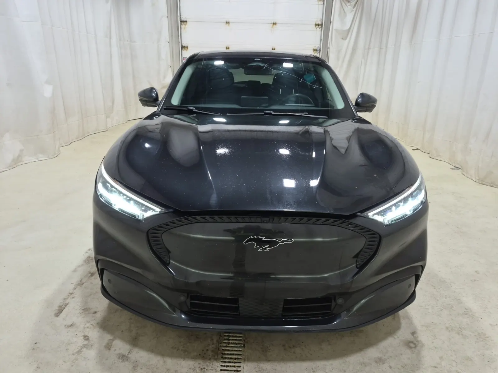 Full Front Photo