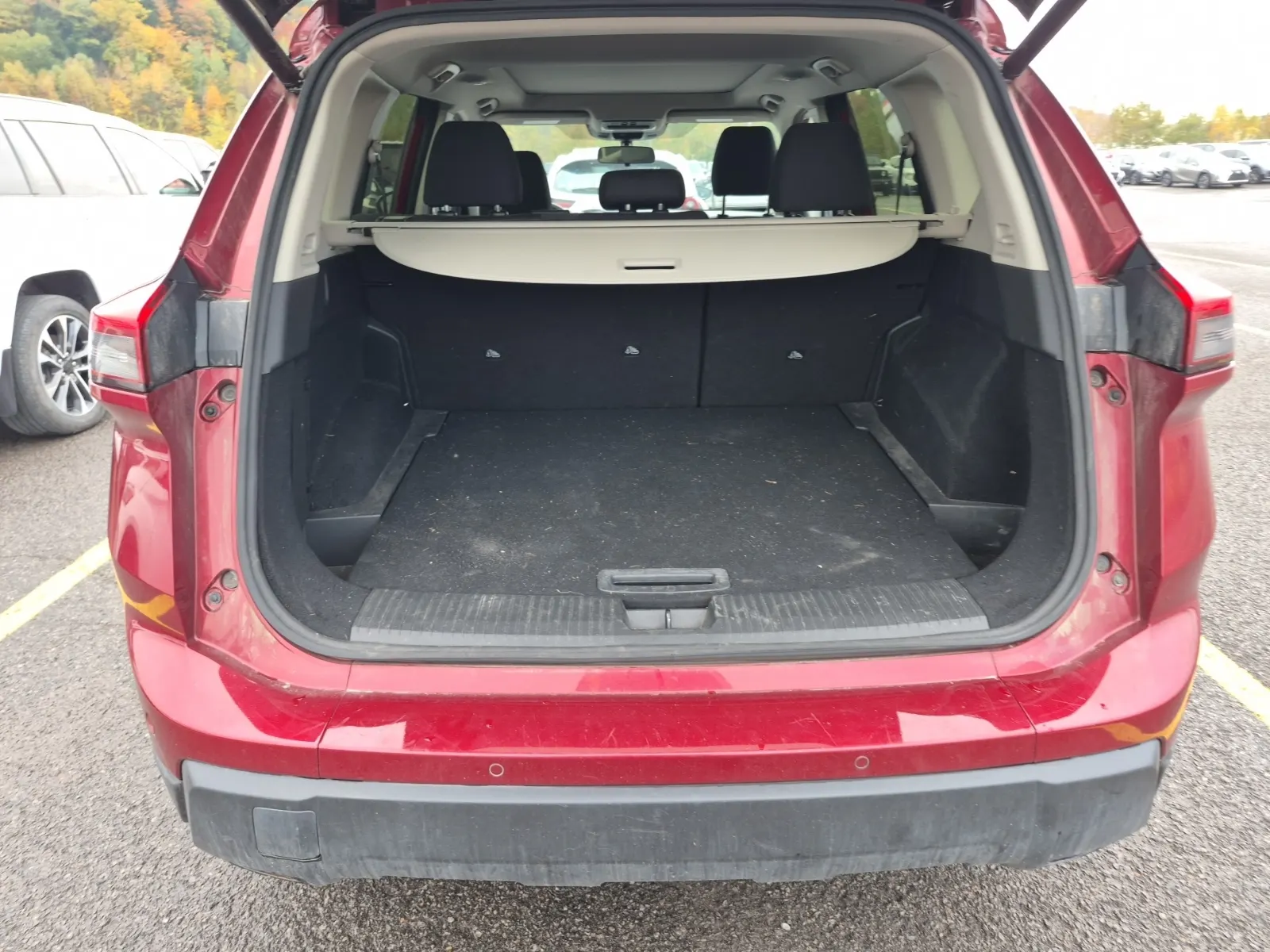 Cargo Area Photo