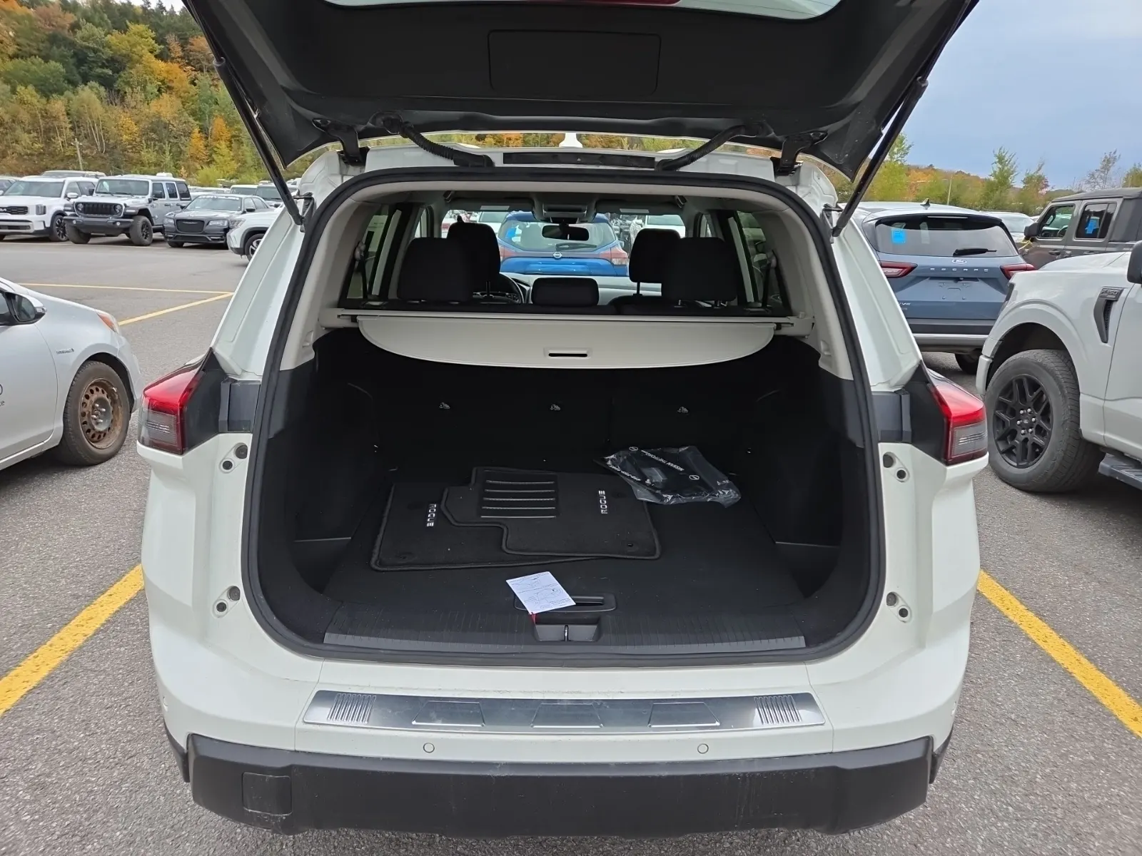 Cargo Area Photo