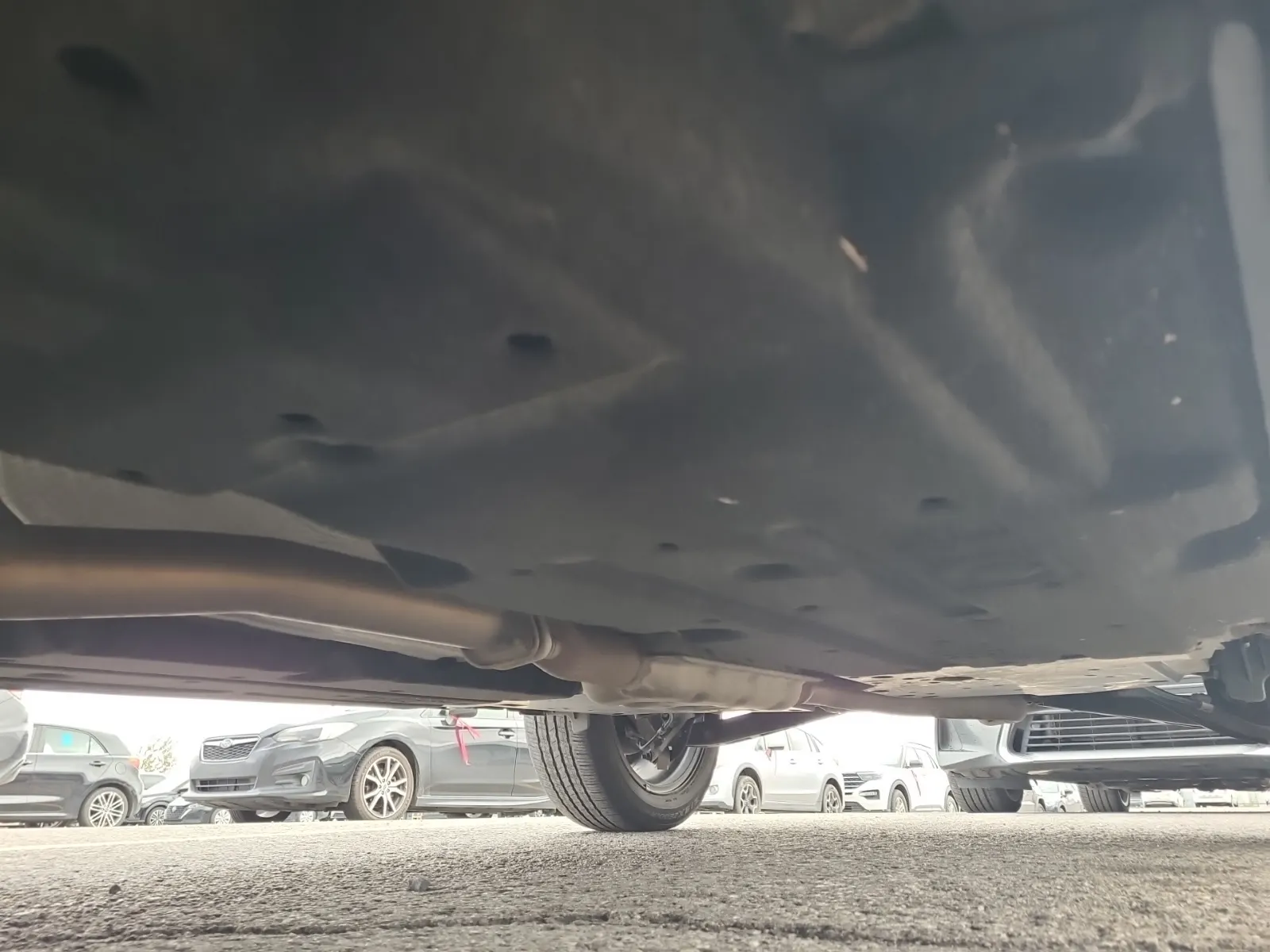 Undercarriage - Driver Photo