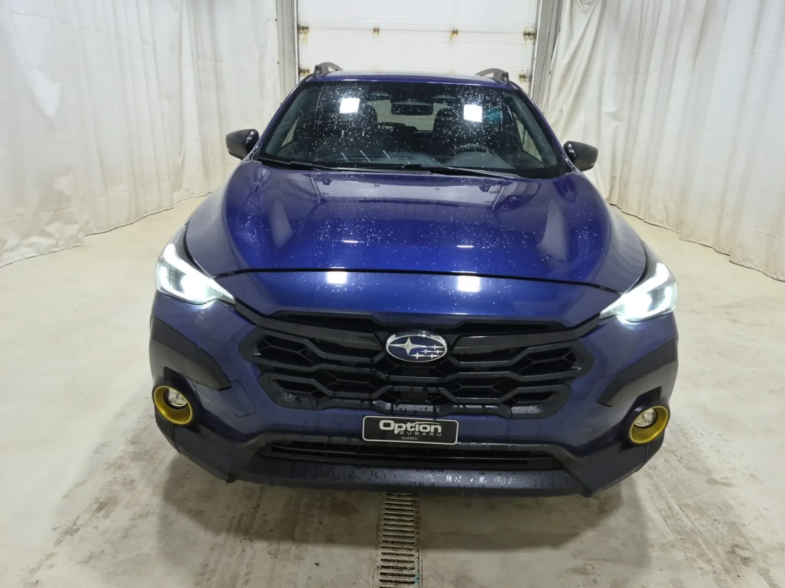 Full Front Photo